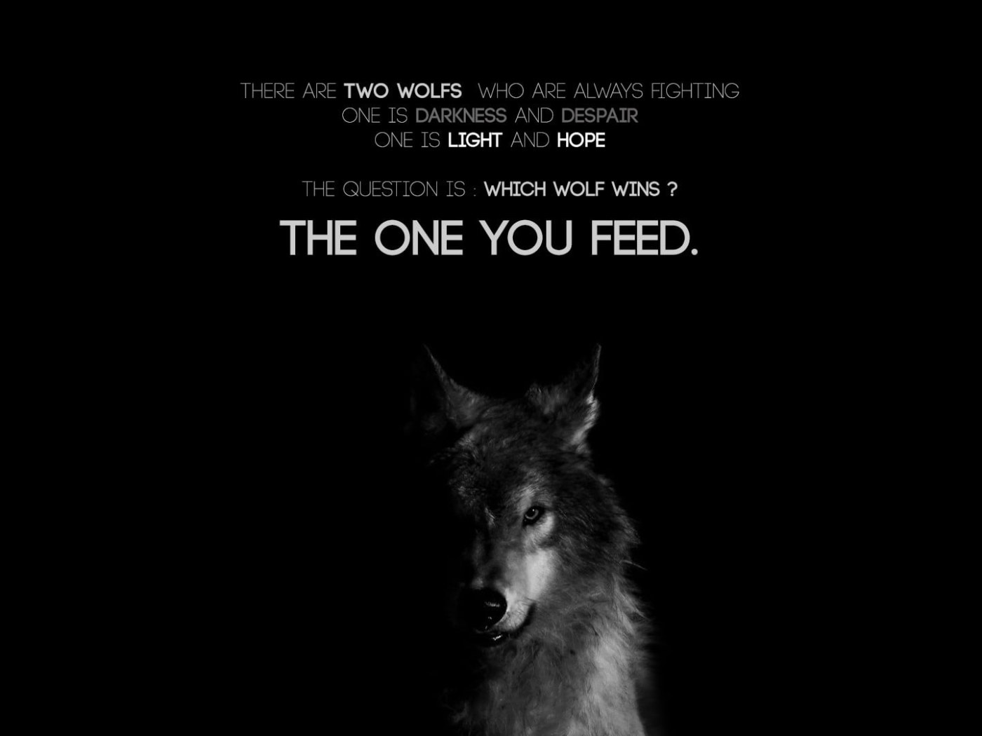 Wallpaper Wolf Digital Wallpaper, Quote, Animal, Domestic Animals, Mammal • Wallpaper For You