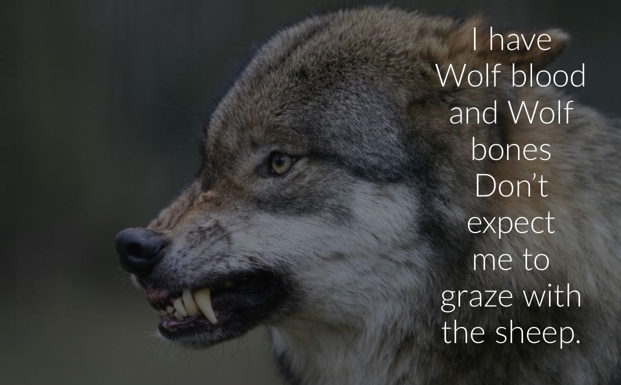 Wolf Quotes ideas. wolf quotes, wolf, quotes