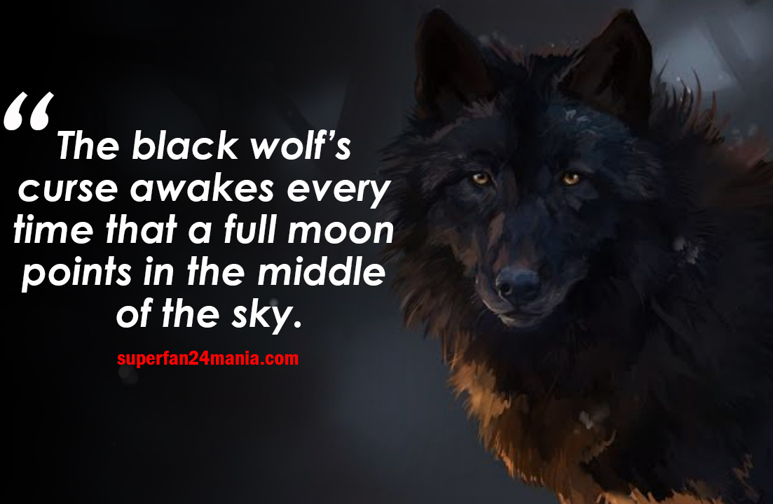 Best Wolf Quotes That Will Help you to Show Your True Character
