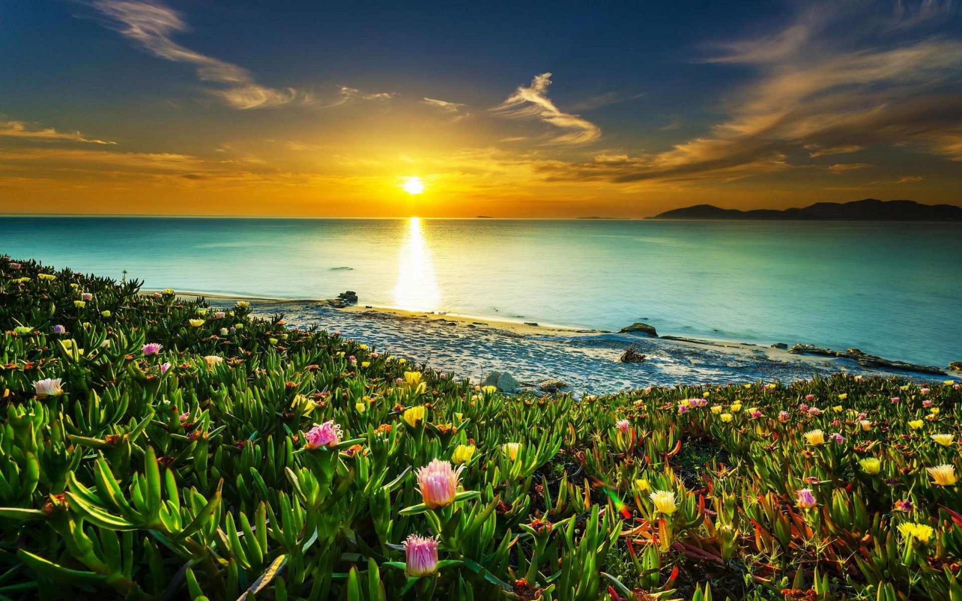 Sea Coast Meadow With Tropical Flowers Sandy Beach Calm Sea Orange Sky Sunset HD Wallpaper For Mobile Phones And Laptops, Wallpaper13.com