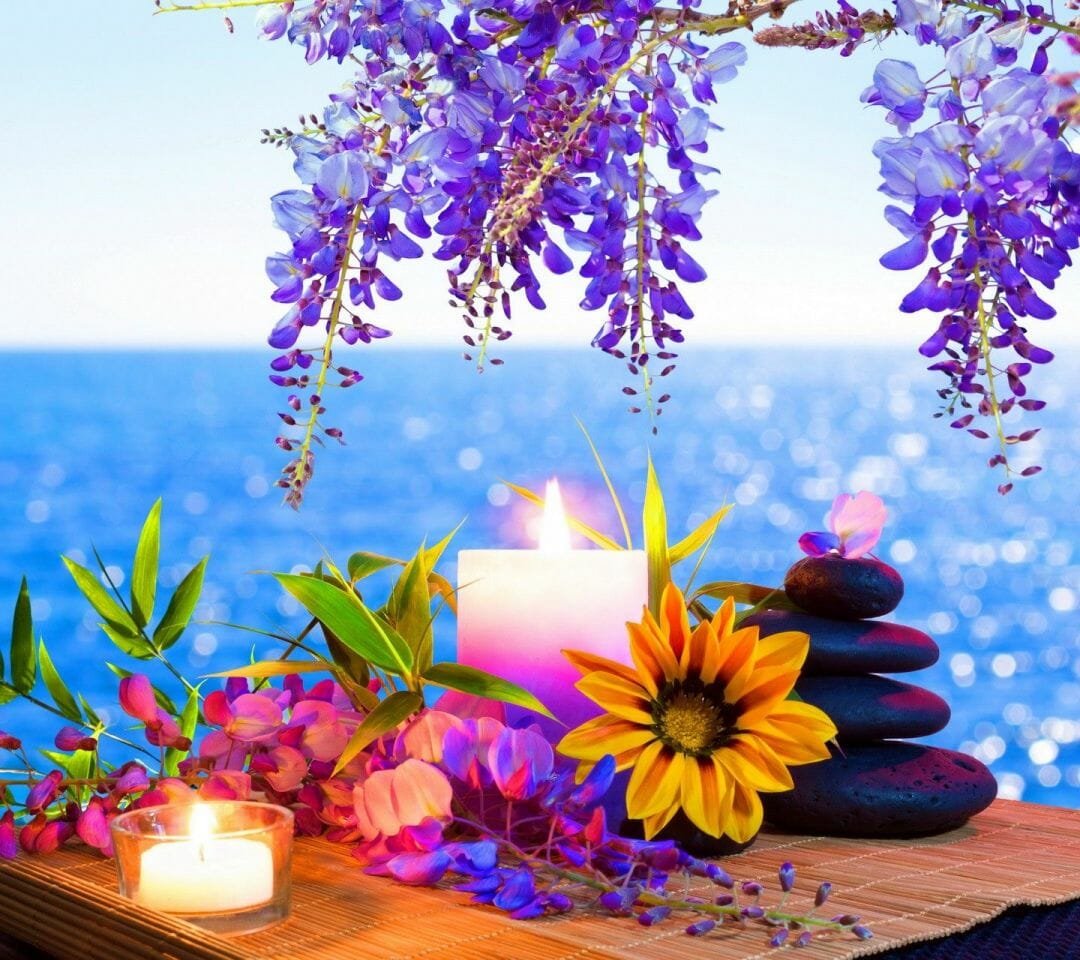 Flower Beauty Tree Lovely Cute Flowers Sweet Beautiful Ocean (2022)