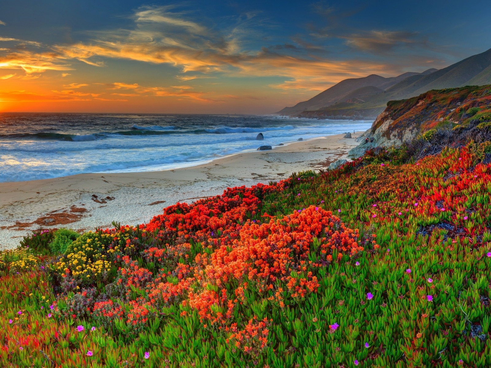 Flowers flowers beach sand sea clouds sunset water ocean sun by sky clouds nature sun beach sea sand water ocean sky sunset nature landscape landscape wallpaperx1200