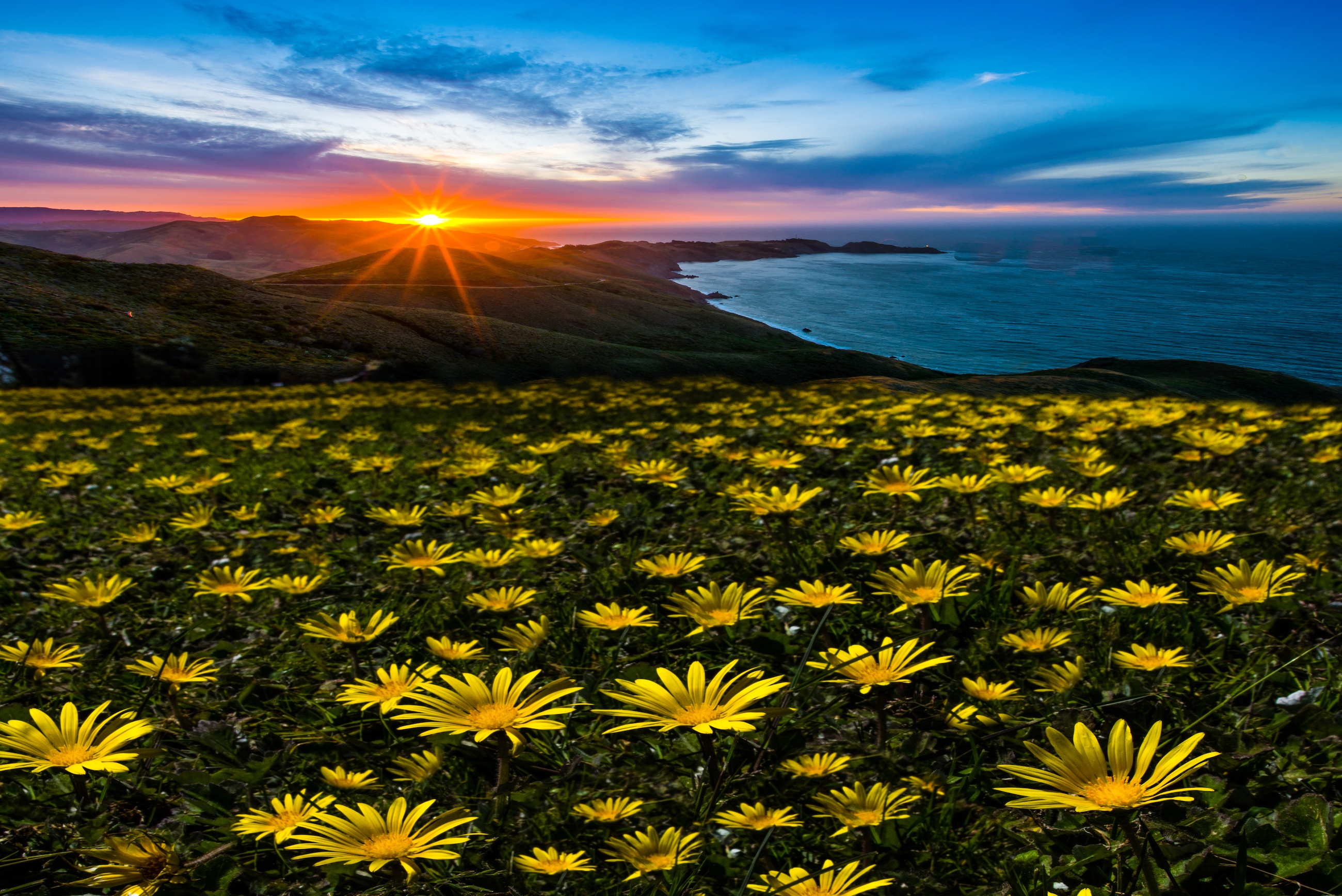 Flower Landscape Nature Ocean Sunset Wallpaper:2600x1736