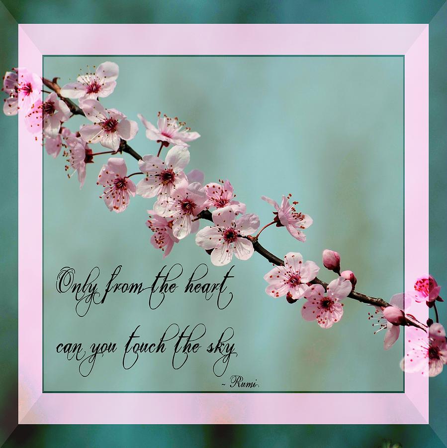 Spring Motivational Quotes. QuotesGram