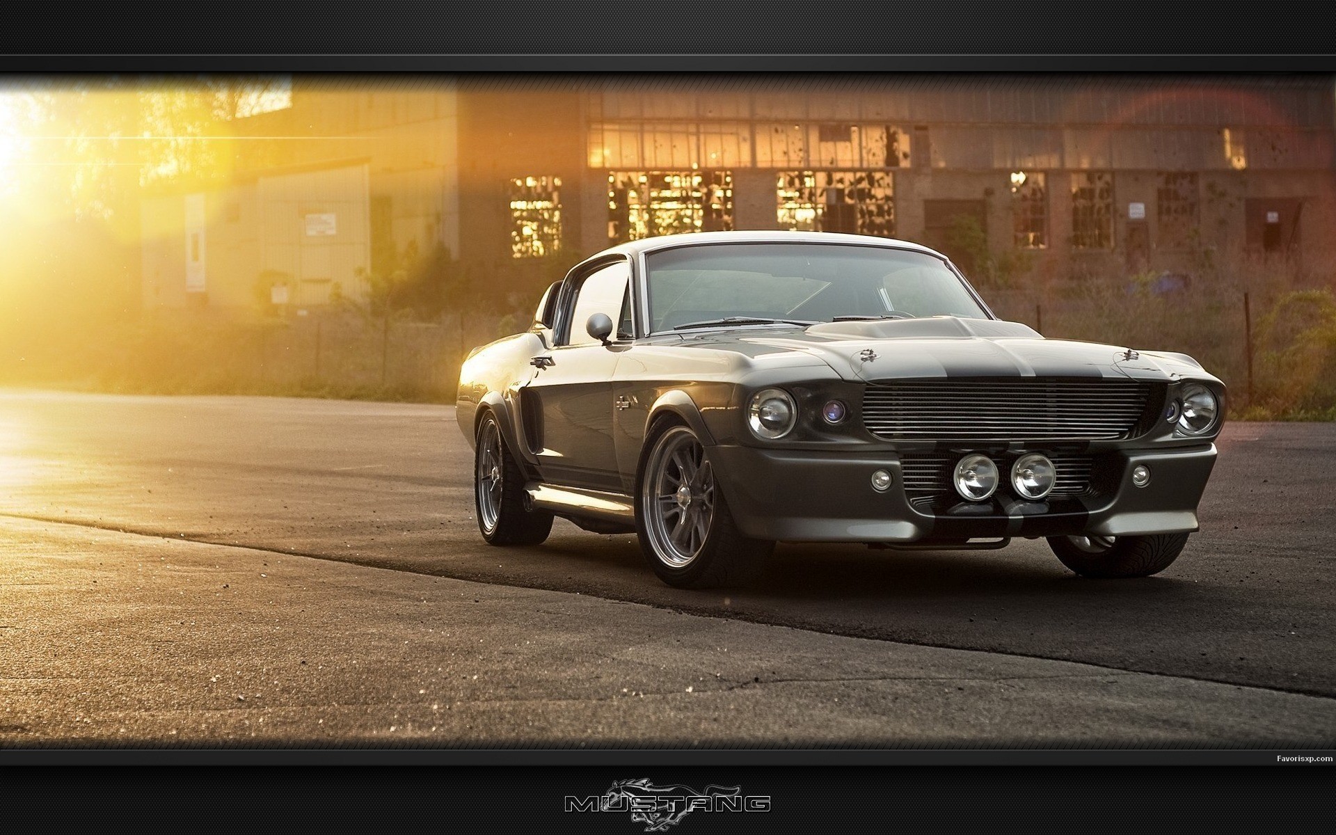 Shelby Gt500 Eleanor