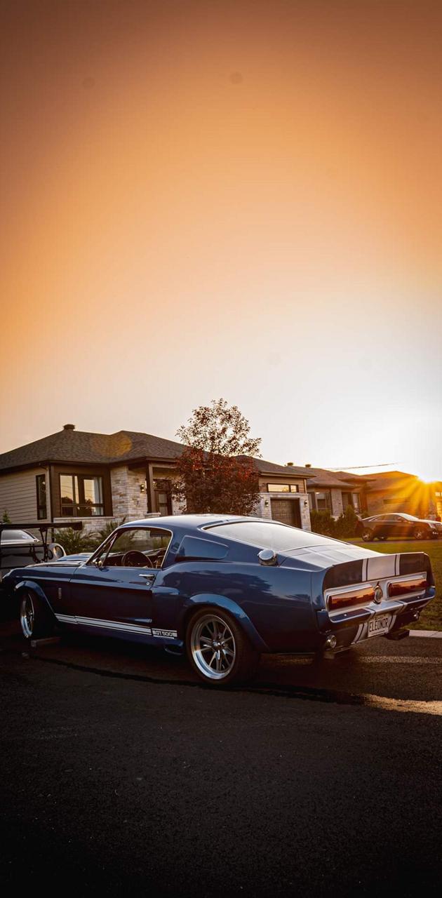 Shelby gt500 1967 wallpaper