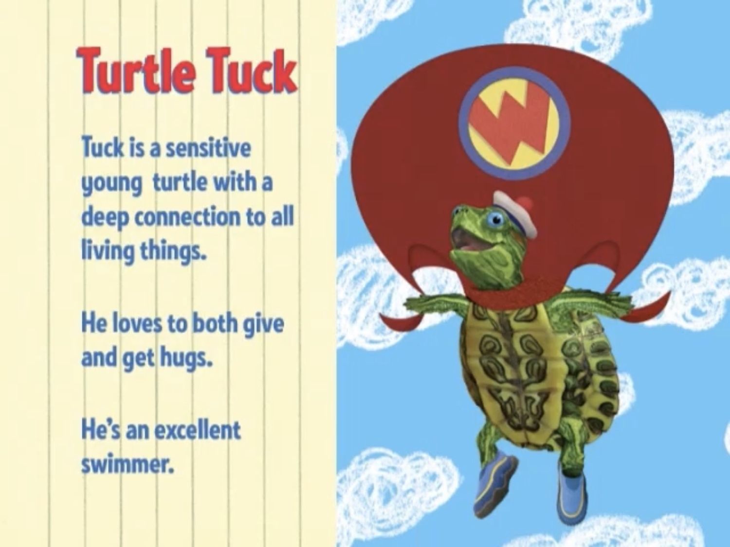 Turtle Tuck Photo Gallery. Wonder pets, Turtle, Pets
