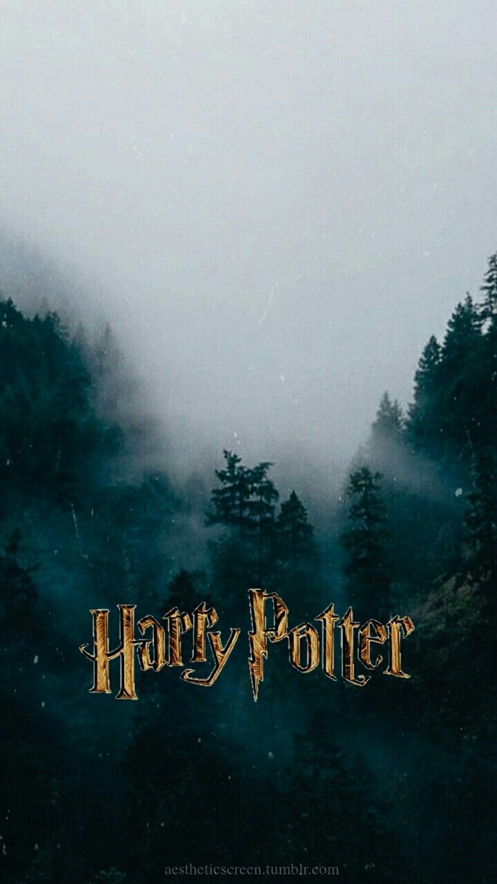 Photo to Keep from Phone. Cartaz harry potter, Wallpaper harry potter, Harry potter