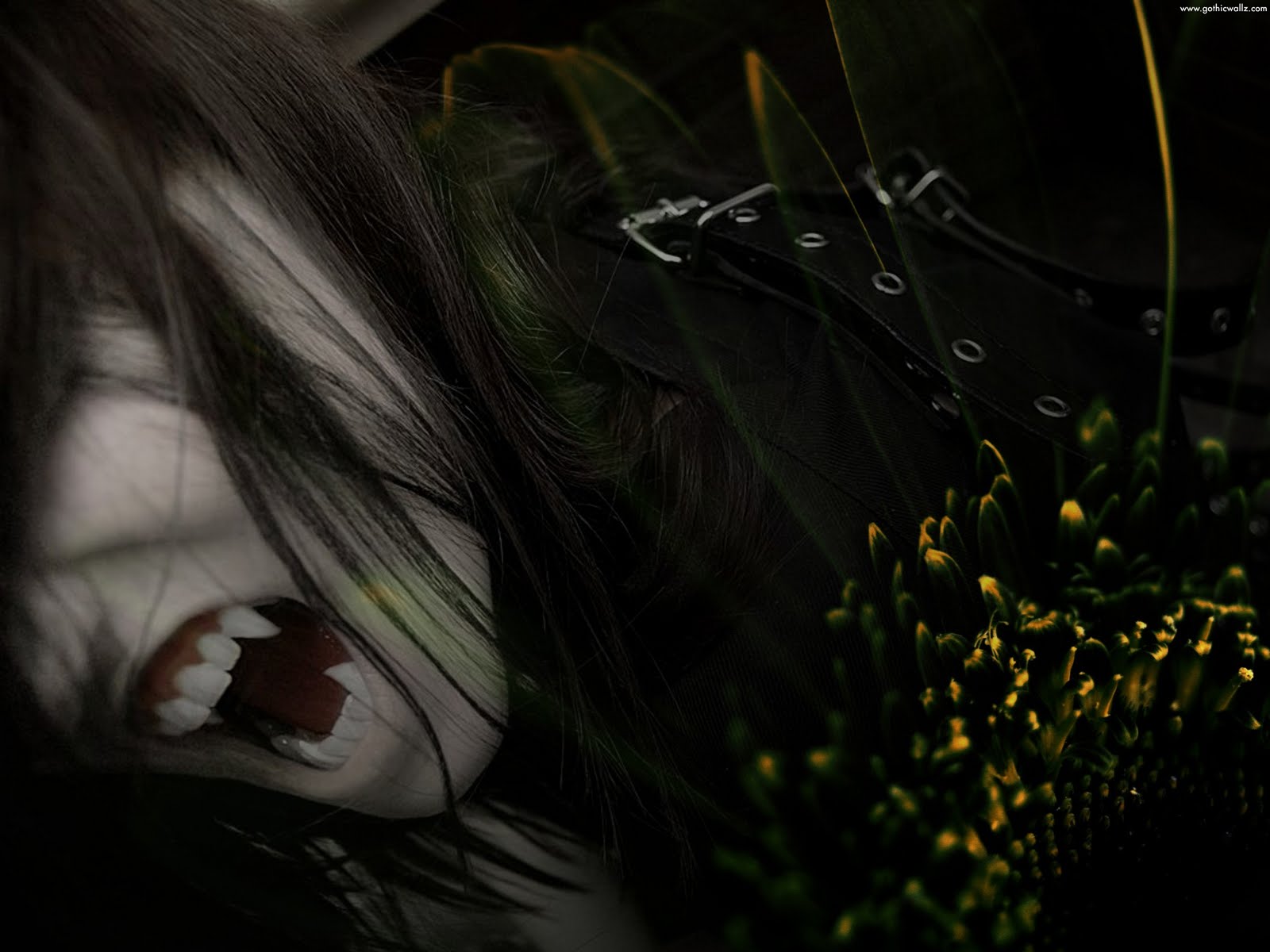 Download Vampire wallpapers for mobile phone, free Vampire HD pictures