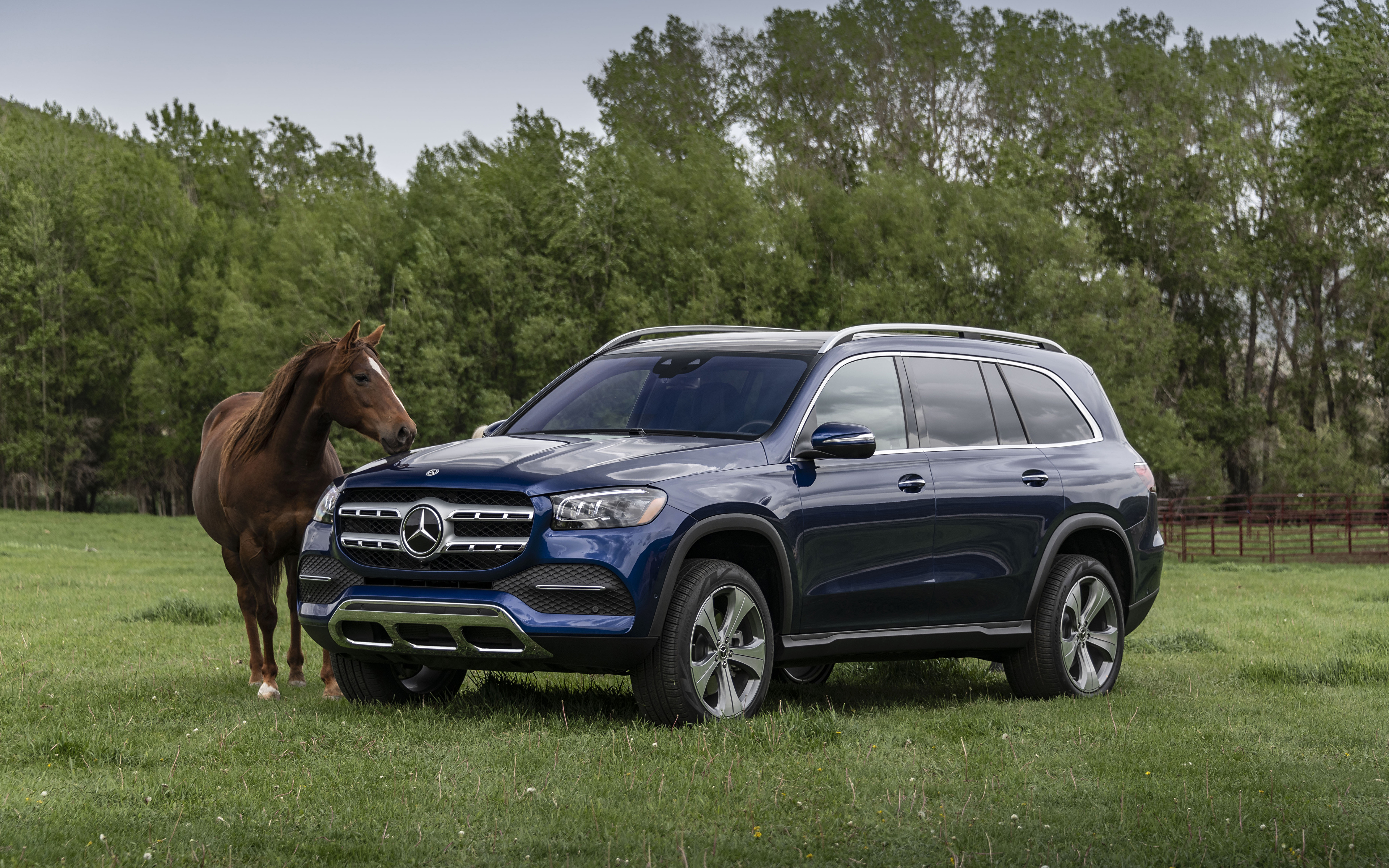 Desktop Wallpaper Mercedes Benz Horses 2020 GLS 450 3840x2400