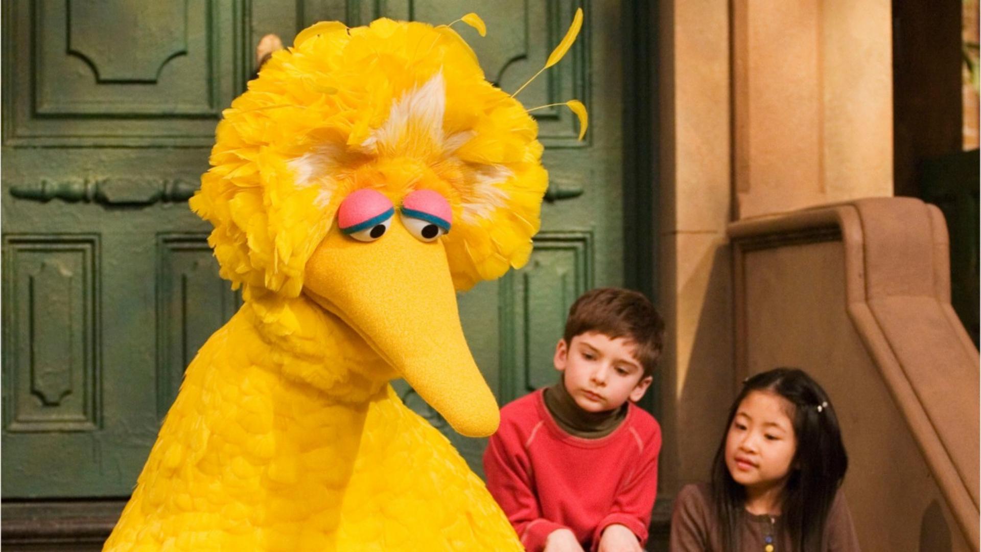 Bye, bye Big Bird: Actor stepping down from role
