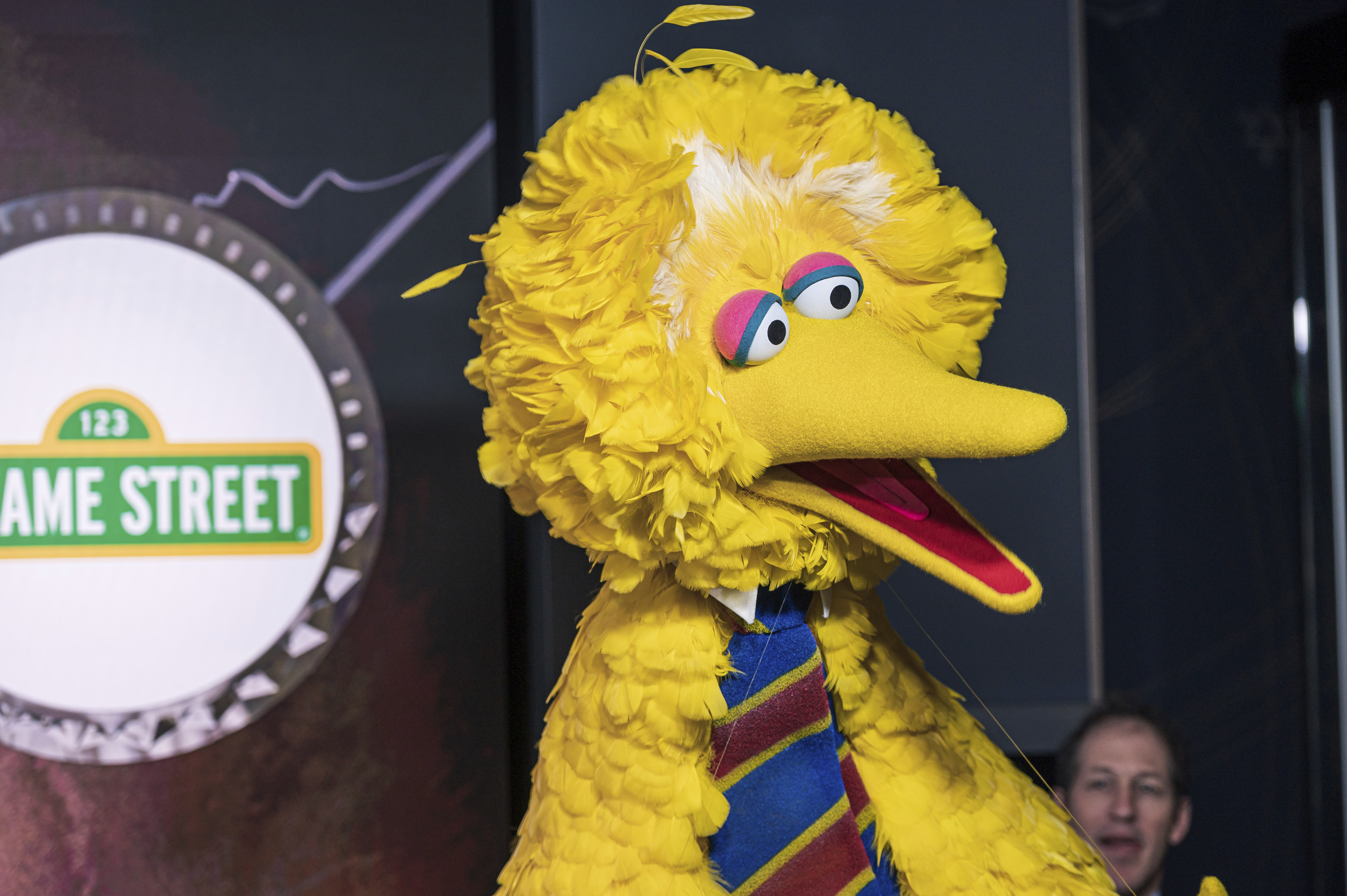 Sesame Street Faces Backlash for Big Bird's Vaccination Announcement