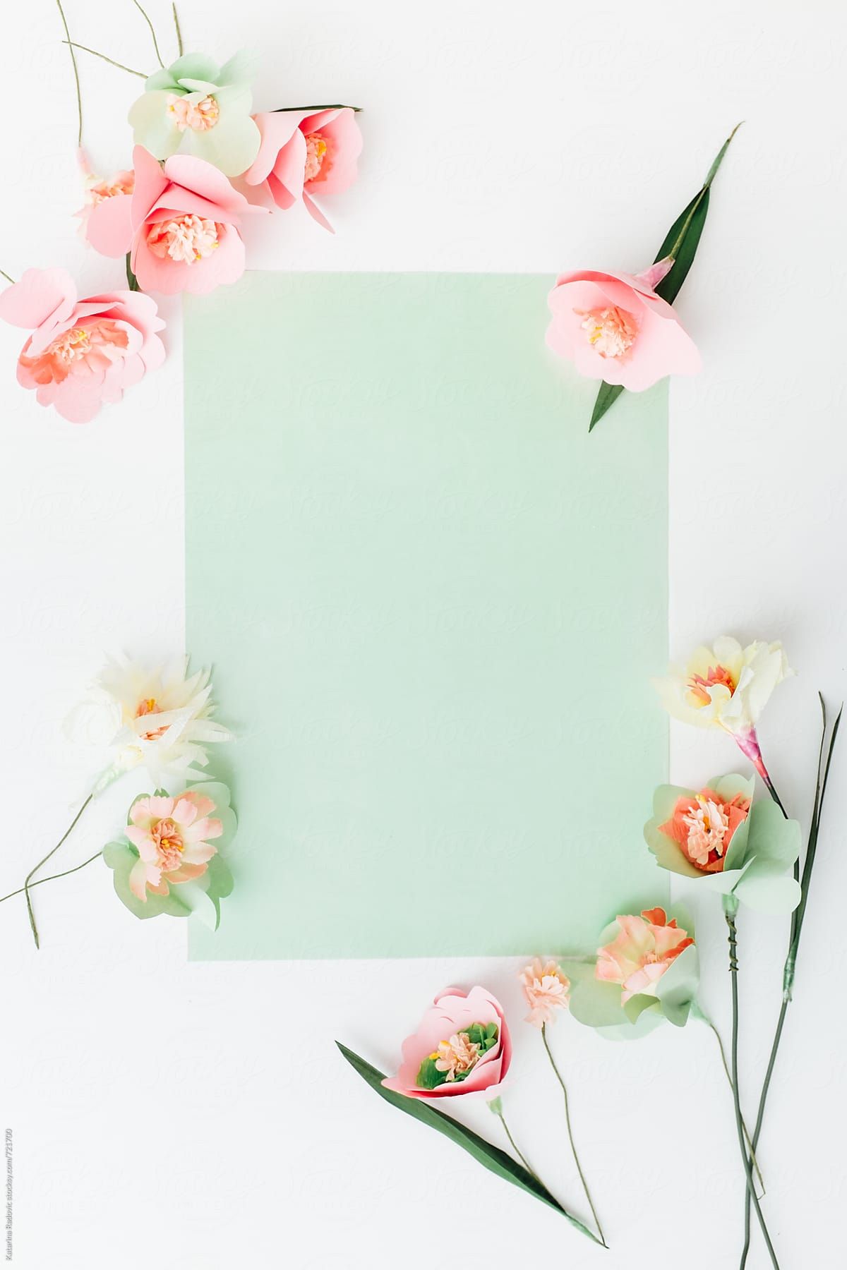 Paper Flowers Arranged With A Green Pastel Background by Katarina Radovic. Pastel background, Pastel iphone wallpaper, Flower wallpaper