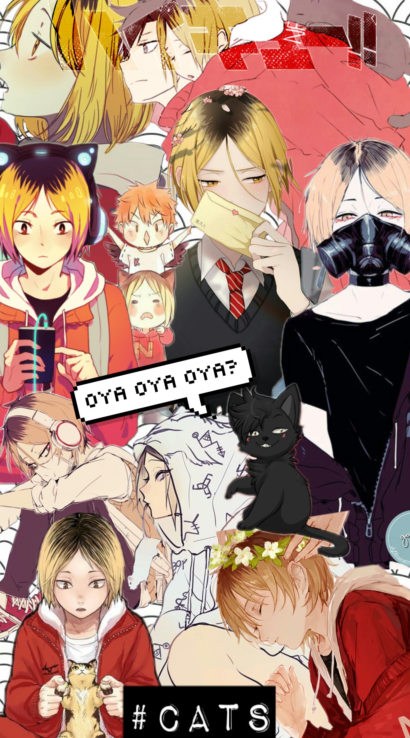 freetoedit haikyuu 245877264017202