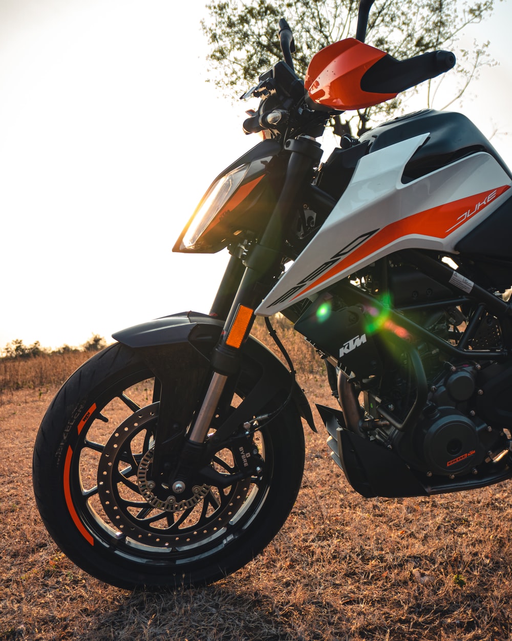 Duke 390 Picture. Download Free Image