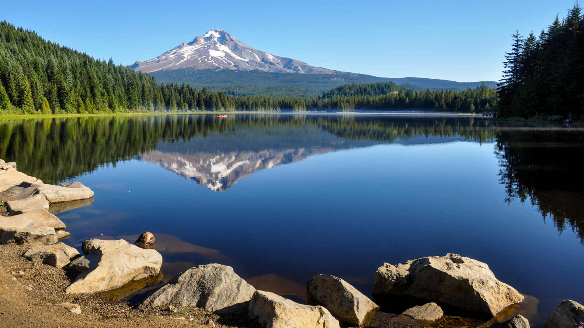 Government Camp Oregon United States Trillium Lake