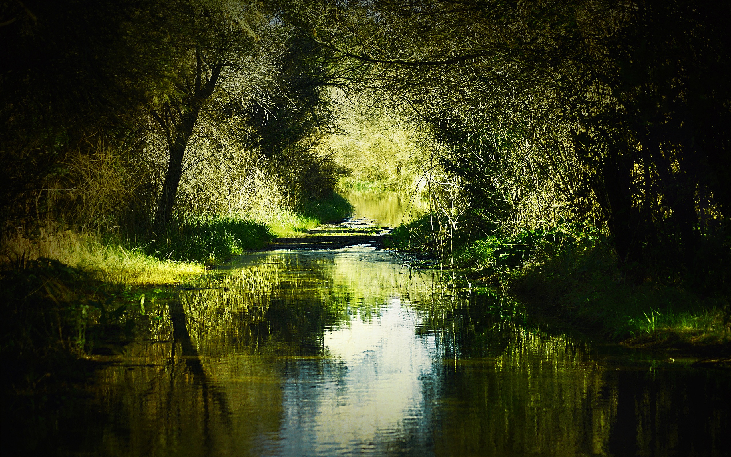 Dream Summer 2012 river Wallpaper Wallpaper 96425