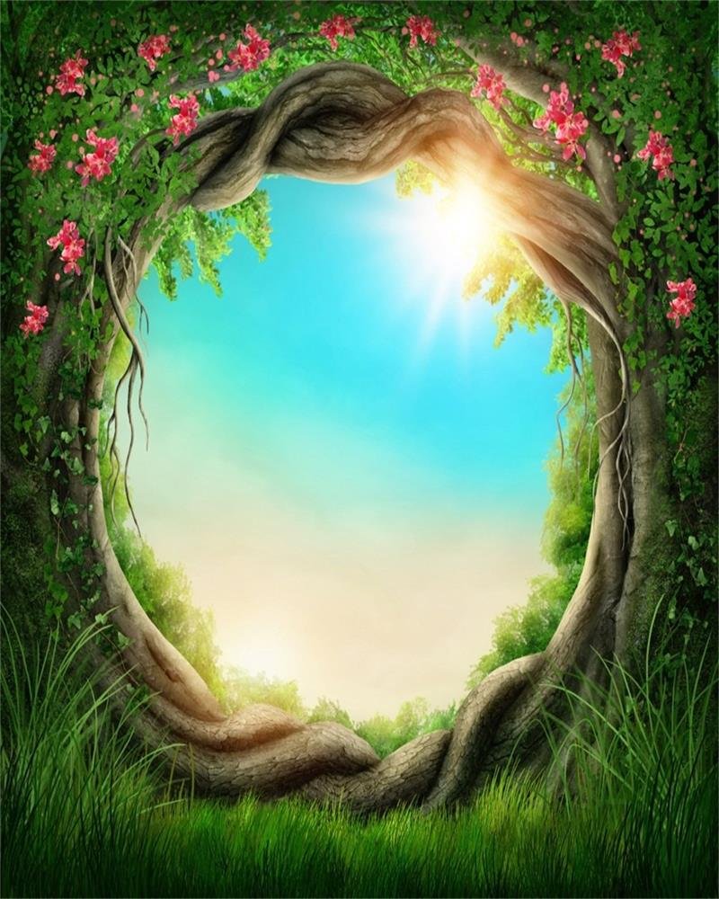 Fairyland Photography Background Annular Tree Root Forest Forest Clip Art Wallpaper & Background Download