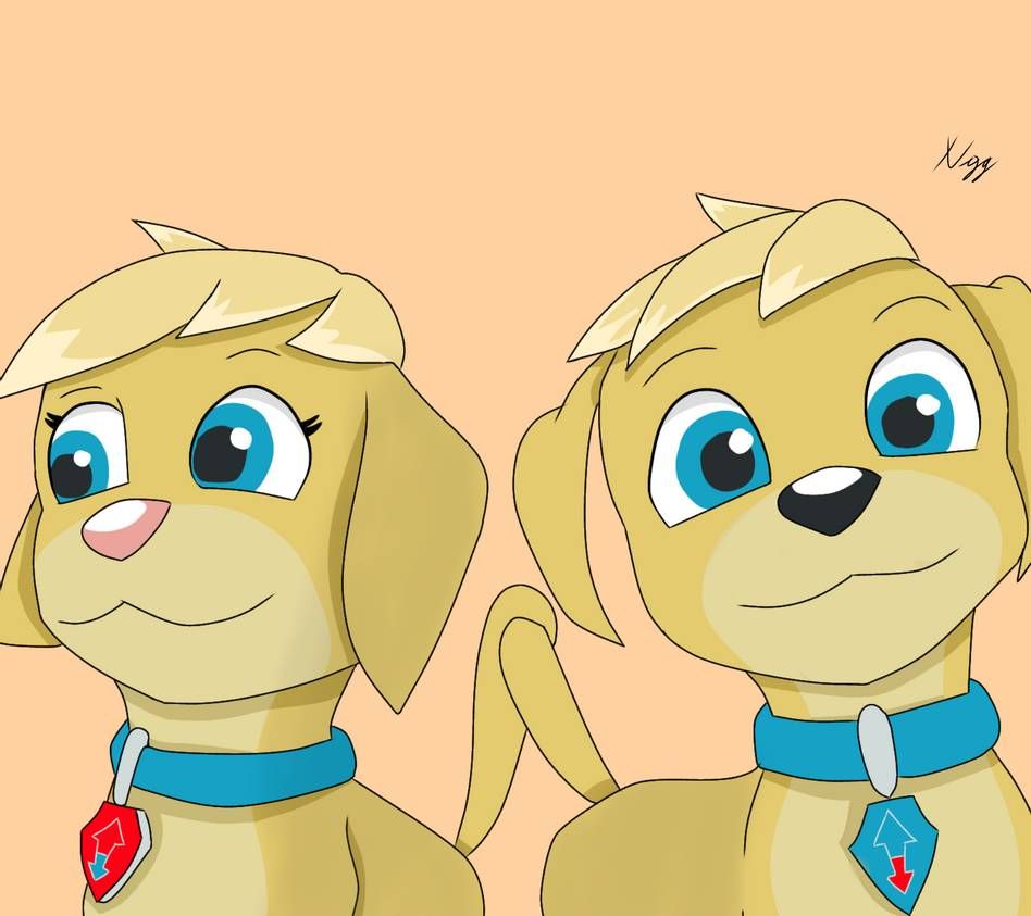 Adorable Ella and Tuck. Paw patrol bedding, Zuma paw patrol, Adorable