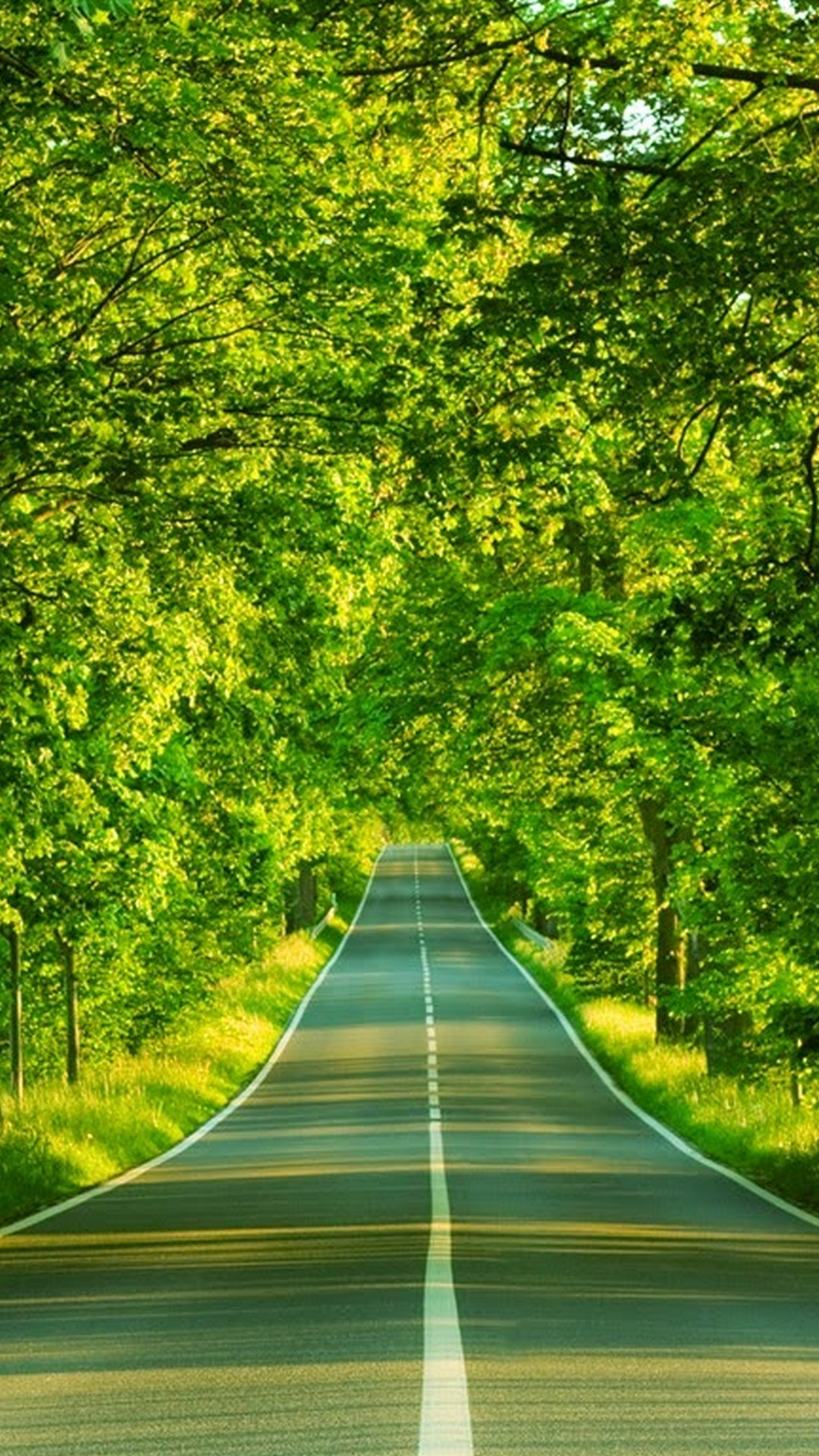 IPhone Green Nature HD Wallpaper