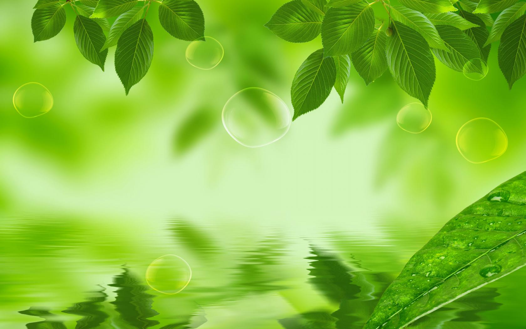 Green Leafy Background HD Wallpaper & Background Download