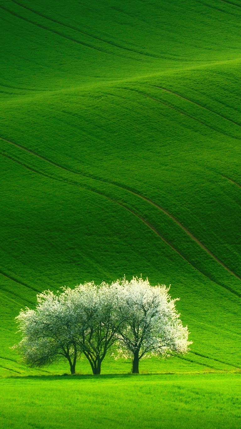 Green Beautiful Nature Scenery Android HD Wallpaper