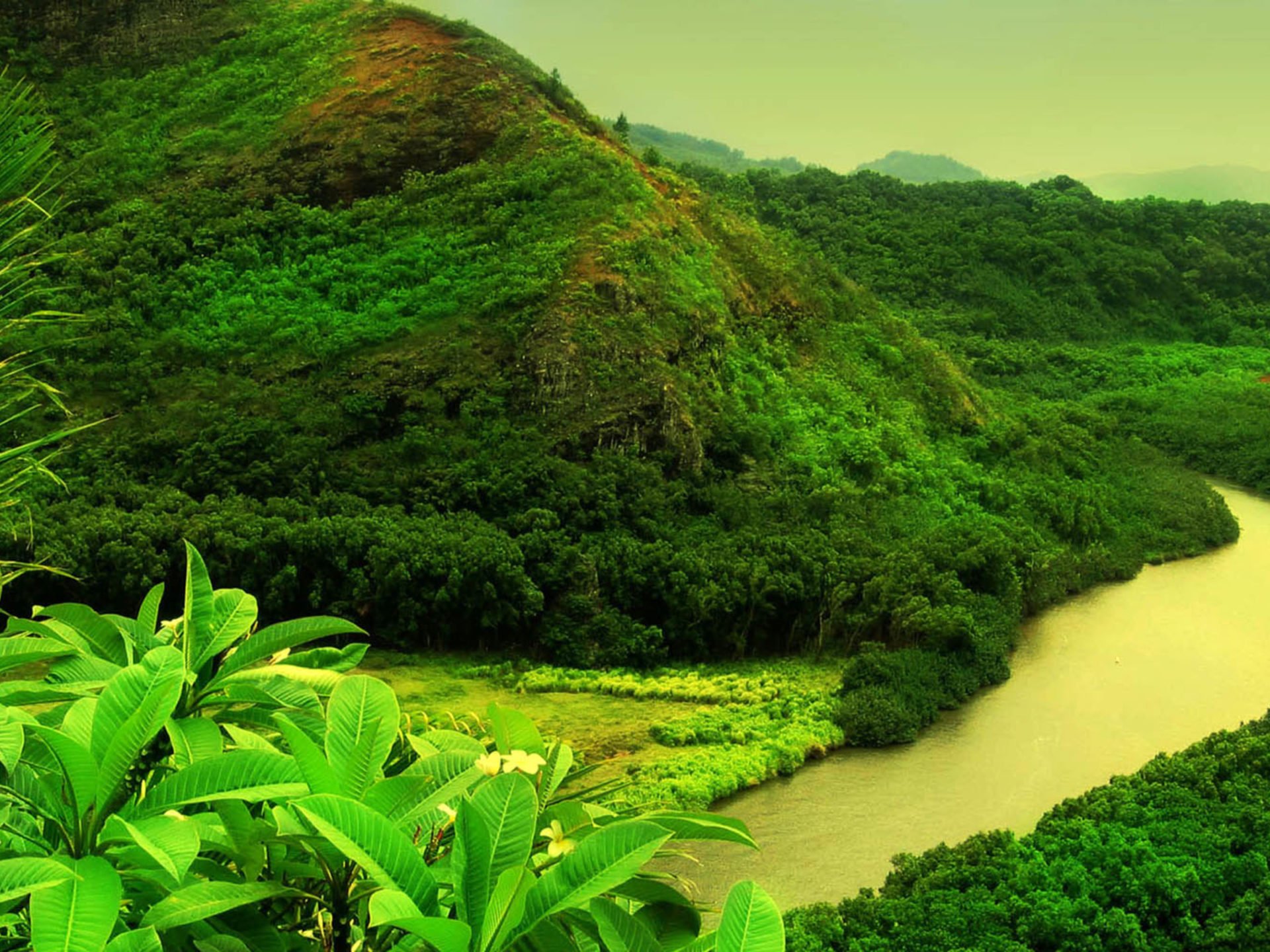 Wonderful Green Landscape, Tropical Green Vegetation River Mountains With Trees Full HD Wallpaper 2880x1800, Wallpaper13.com