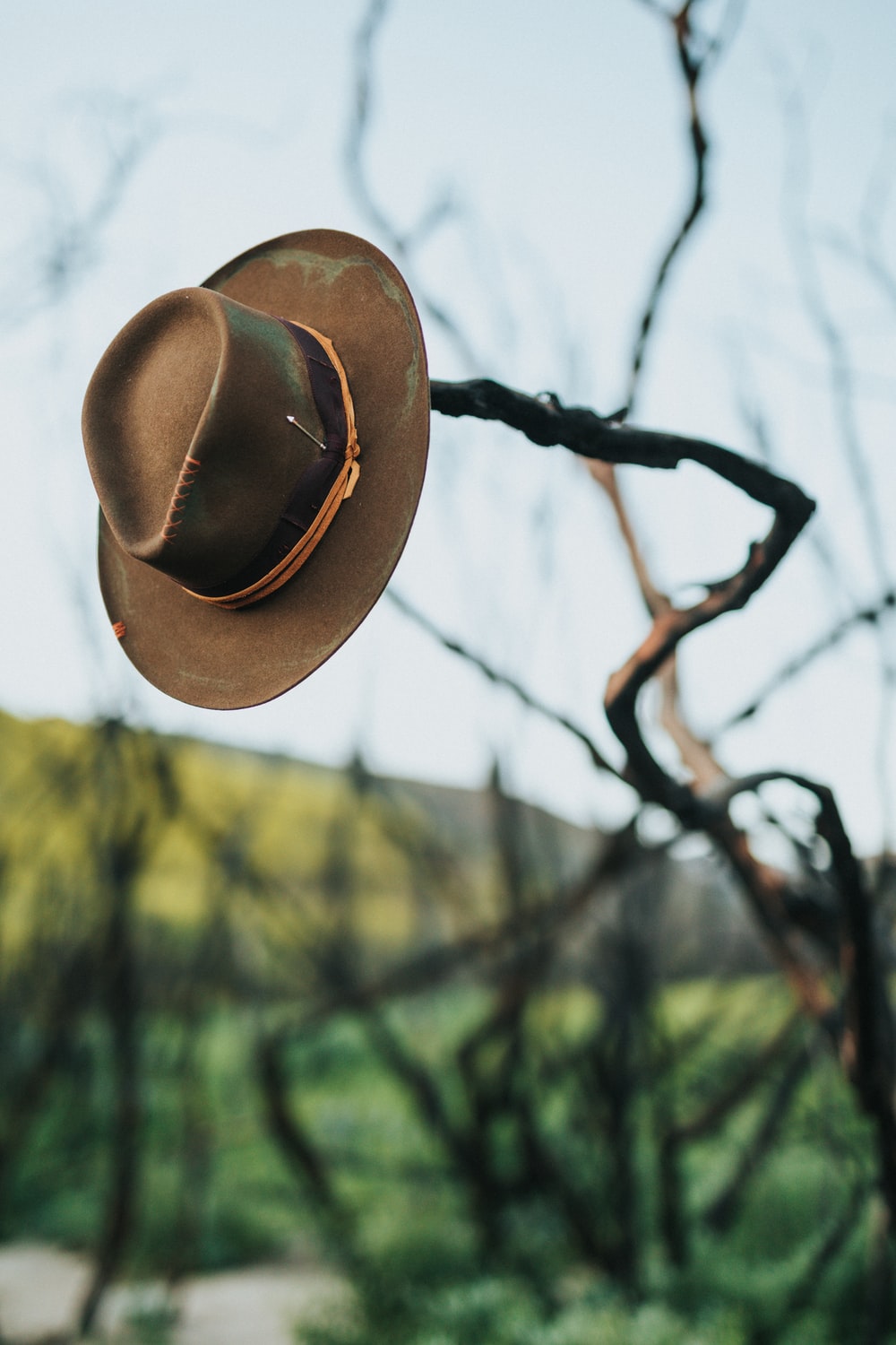 Cowboy Hat Picture [HD]. Download Free Image