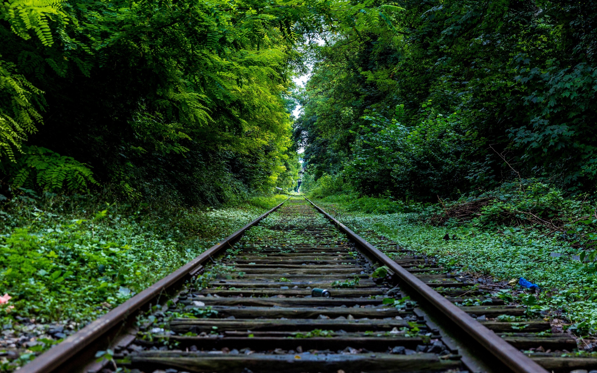 Green Trees & Rail Road wallpaper. Green Trees & Rail Road