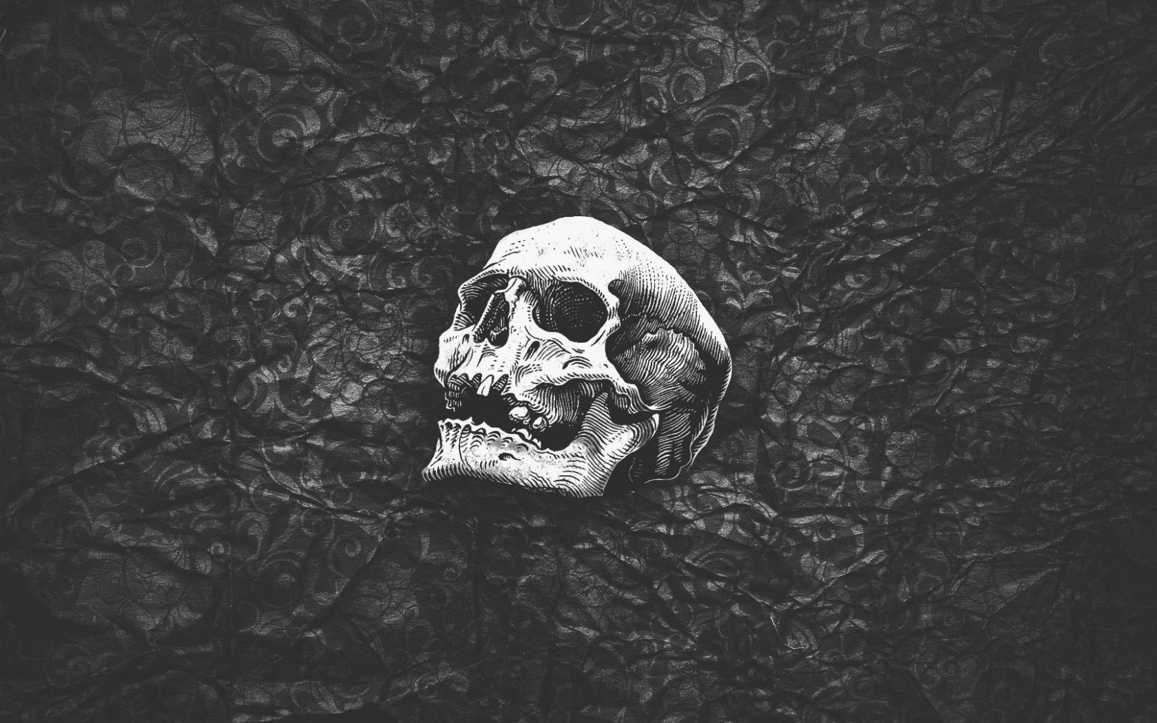 Wallpaper Human Skull Wallpaper, Black, White, Abstract • Wallpaper For You
