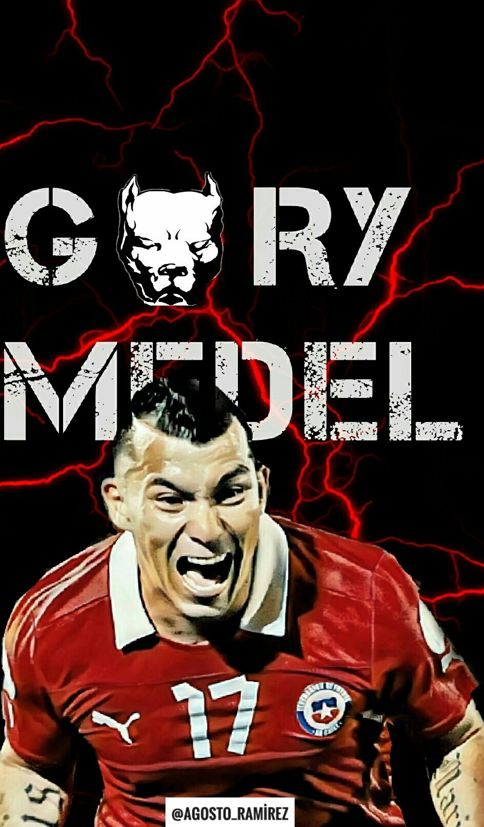 MedelPitbull