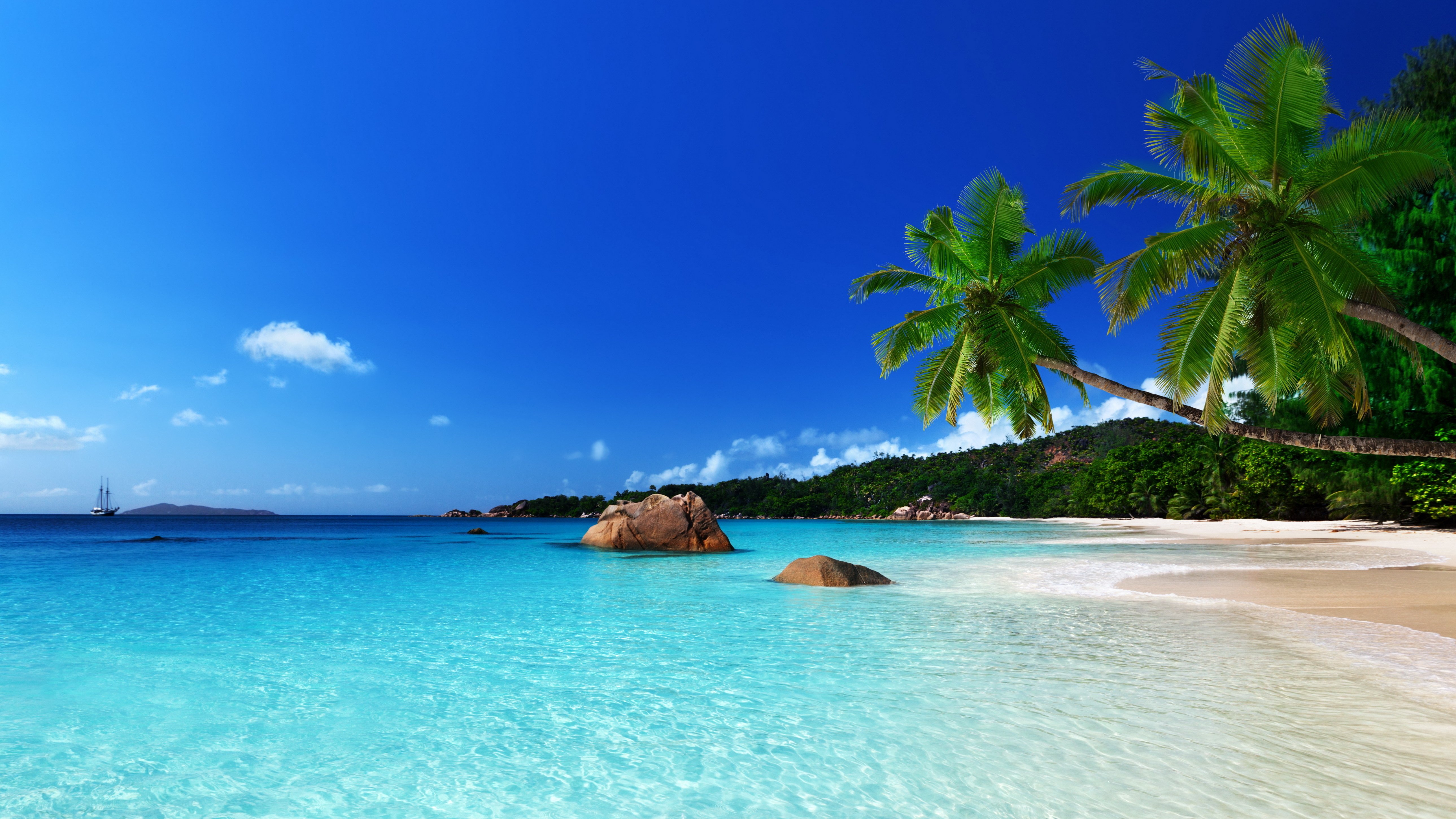 Free download tropical paradise beach ocean sea palm summer coast wallpaper [5156x2900] for your Desktop, Mobile & Tablet. Explore Tropical Island Paradise Wallpaper. Paradise Desktop Wallpaper, Tropical Paradise Wallpaper