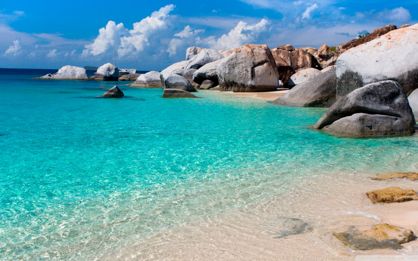 Summer Ocean Wallpaper