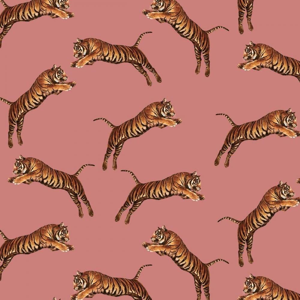 Pink Tiger Wallpapers Wallpaper Cave