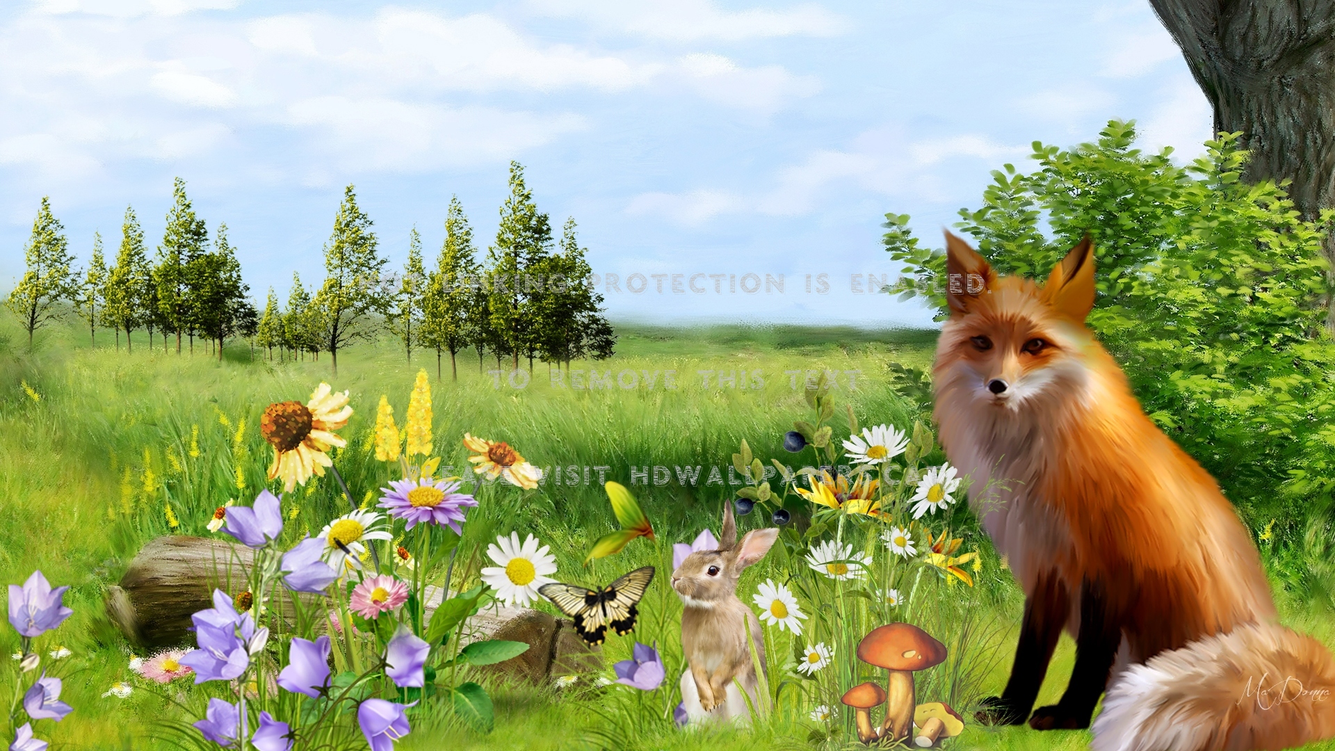 fox in the woods flowers sky mushrooms