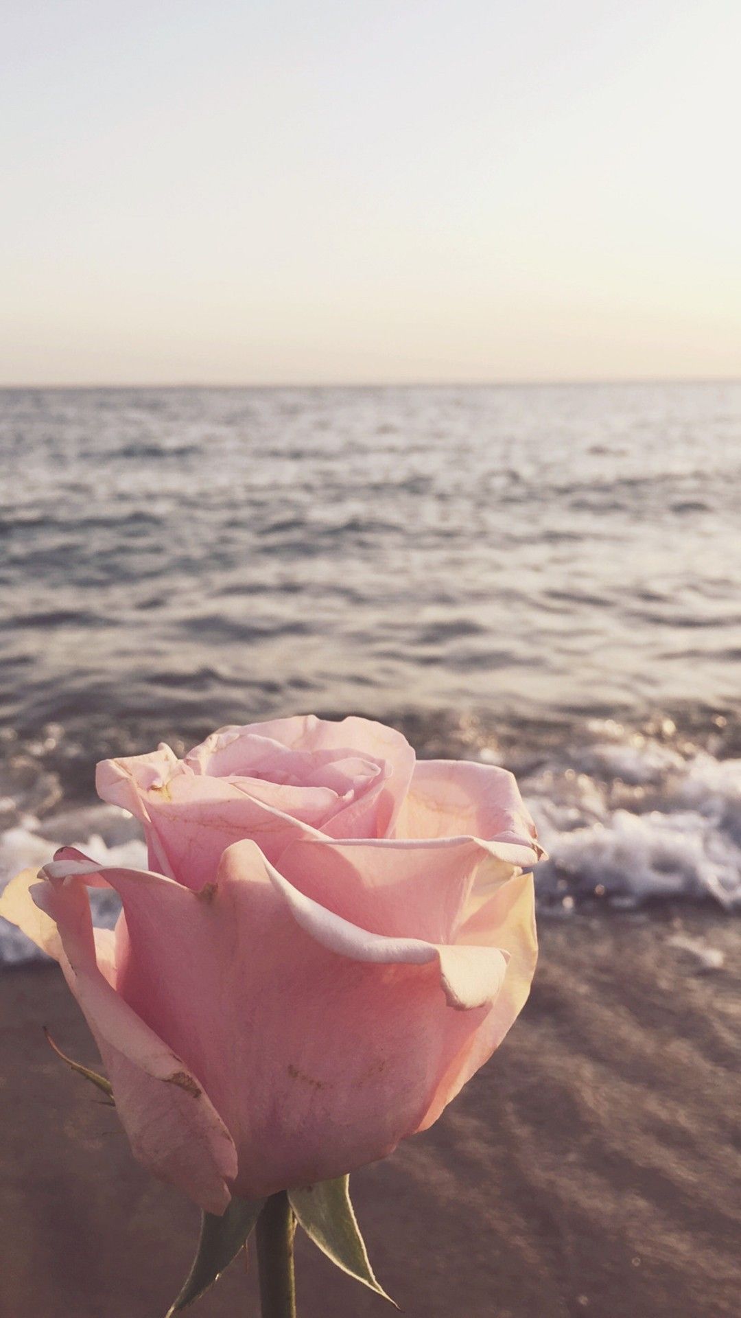 Summer Aesthetic Wallpaper