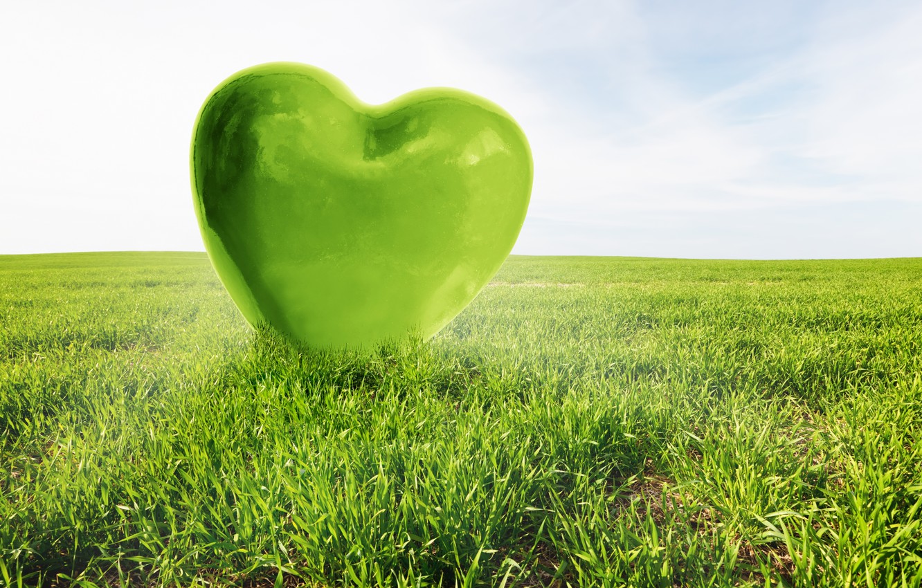 Wallpaper love, green, heart, love, field, heart image for desktop, section рендеринг