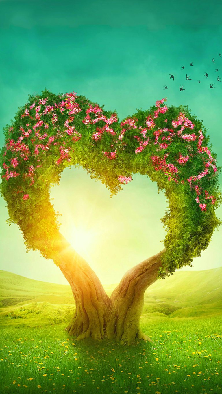 Romantic Fantasy Love Blossoms Tree Flowers Heart Nature Wallpaper