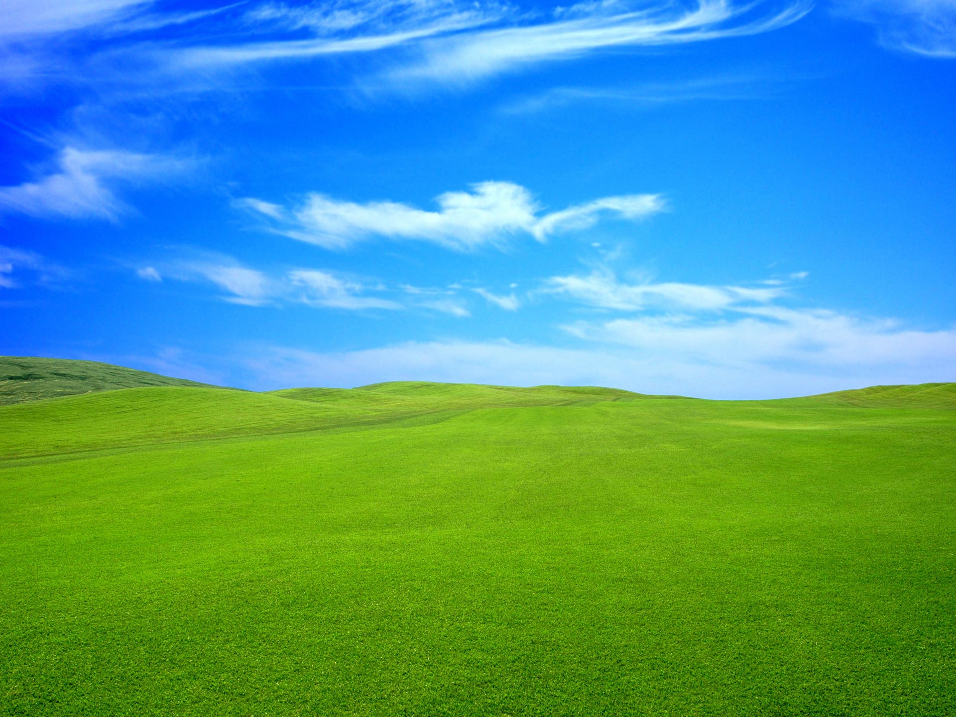 Free download Related Picture blue sky green grass nature wallpaper kingdom [1920x1440] for your Desktop, Mobile & Tablet. Explore Blue Grass Wallpaper. Grass Wallpaper for Walls, Grasscloth Wallpaper, Grasscloth Wallpaper Canada