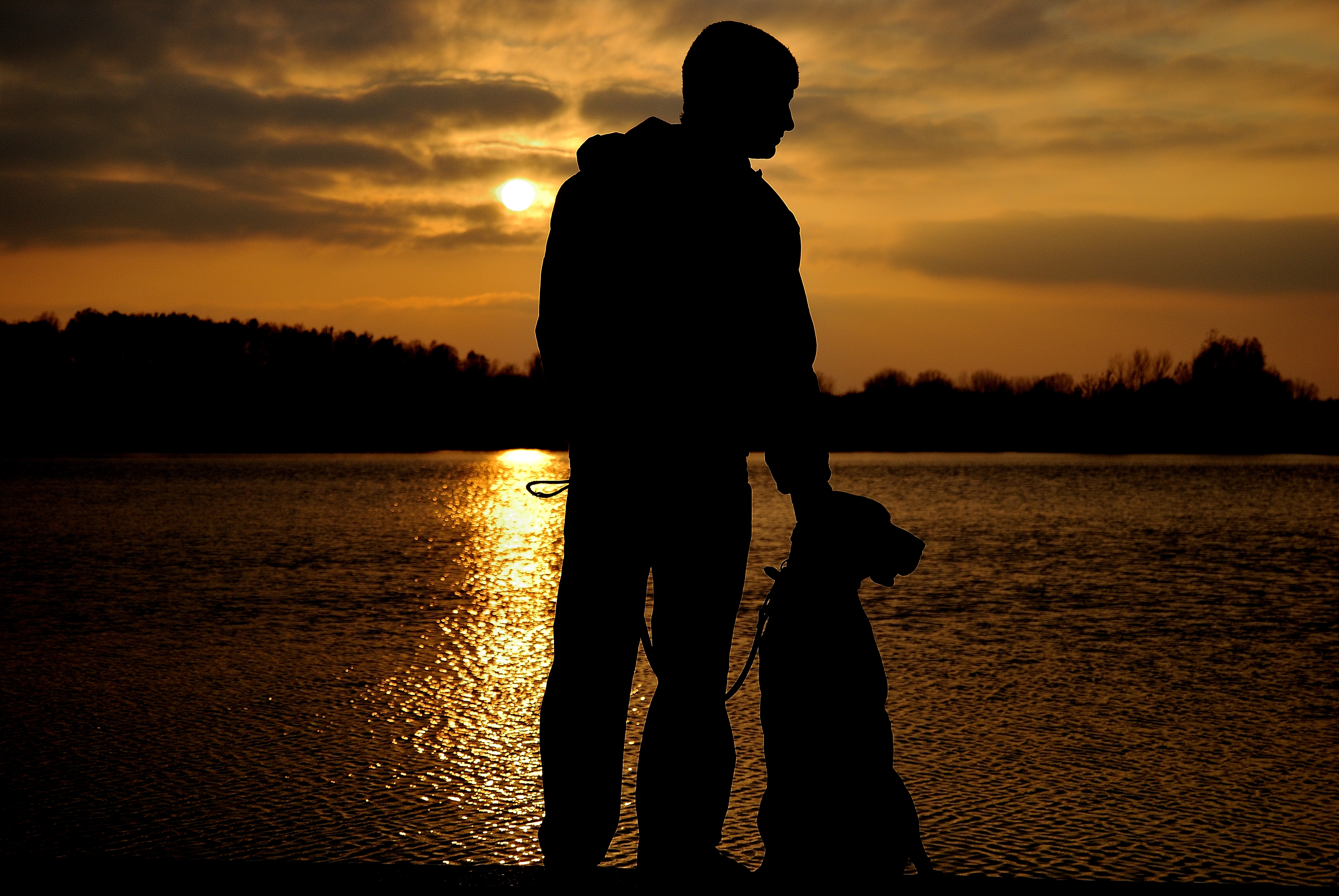 Free download A dog is a mans best friend 2 by adamcroh [3872x2592] for your Desktop, Mobile & Tablet. Explore Dog And Man Wallpaper. Dog And Man Wallpaper, Dog Wallpaper, Dog Background