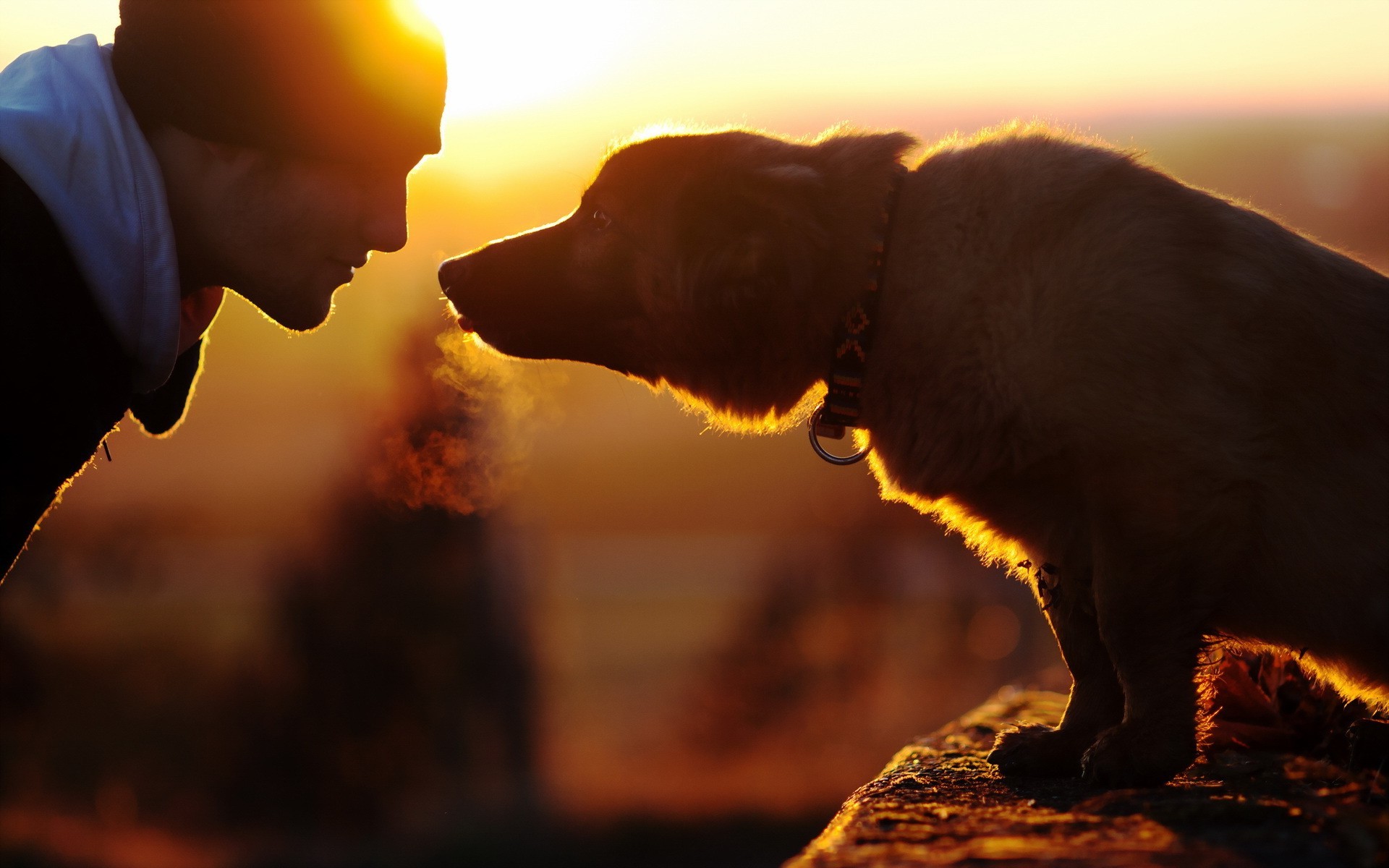 men dog sunset emotion Wallpaper HD / Desktop and Mobile Background