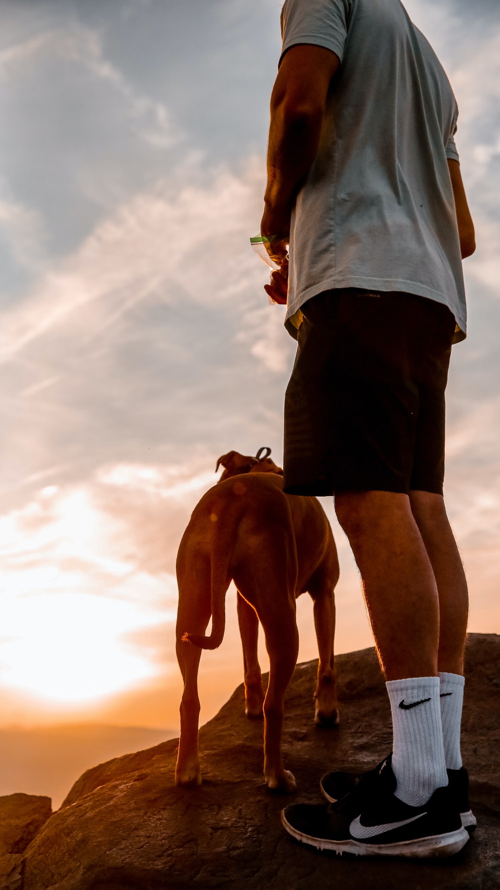 Man And Dog Picture [HD]. Download Free Image