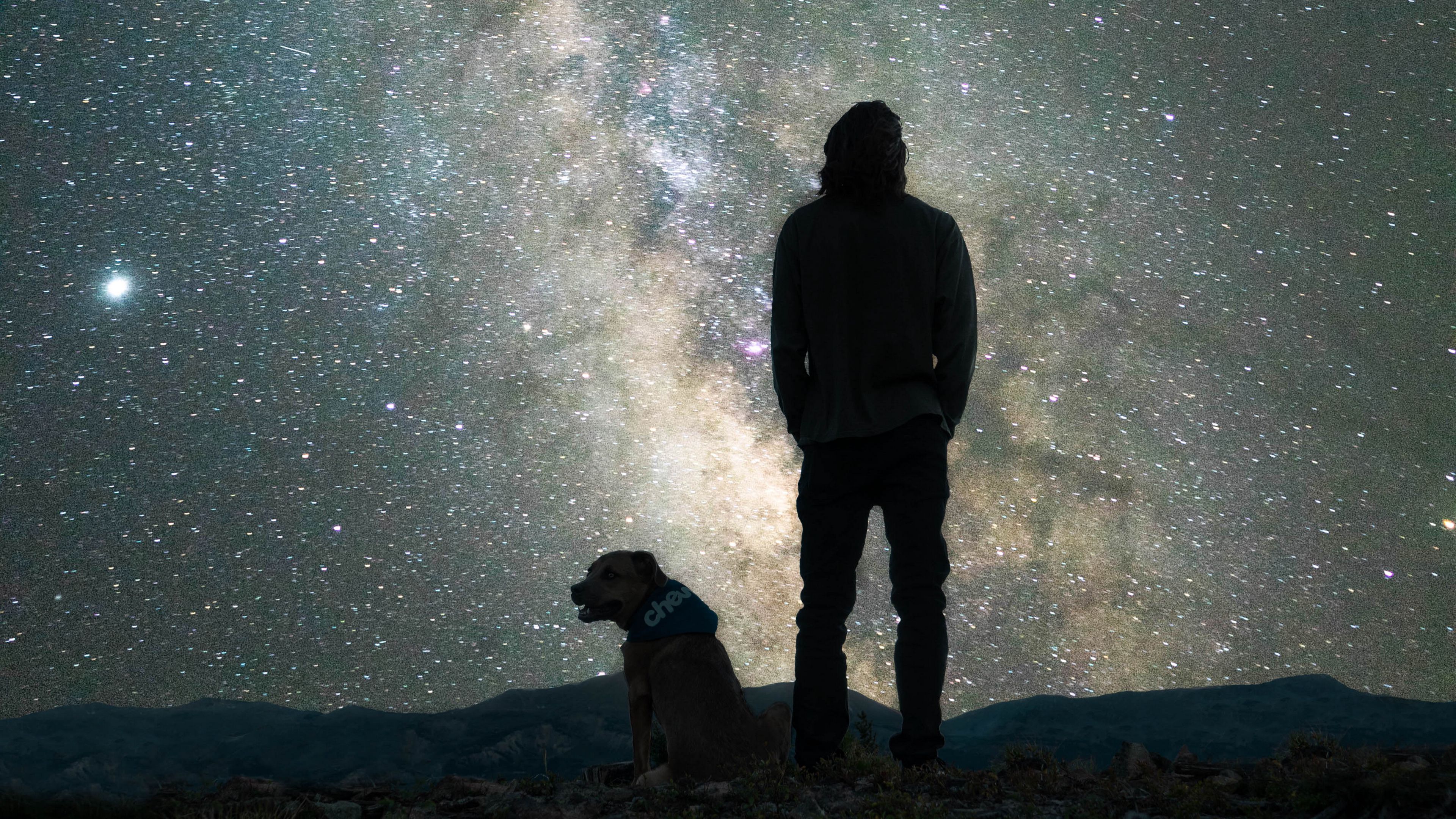 Download wallpaper 3840x2160 man, dog, night, starry sky, nebula 4k uhd 16:9 HD background