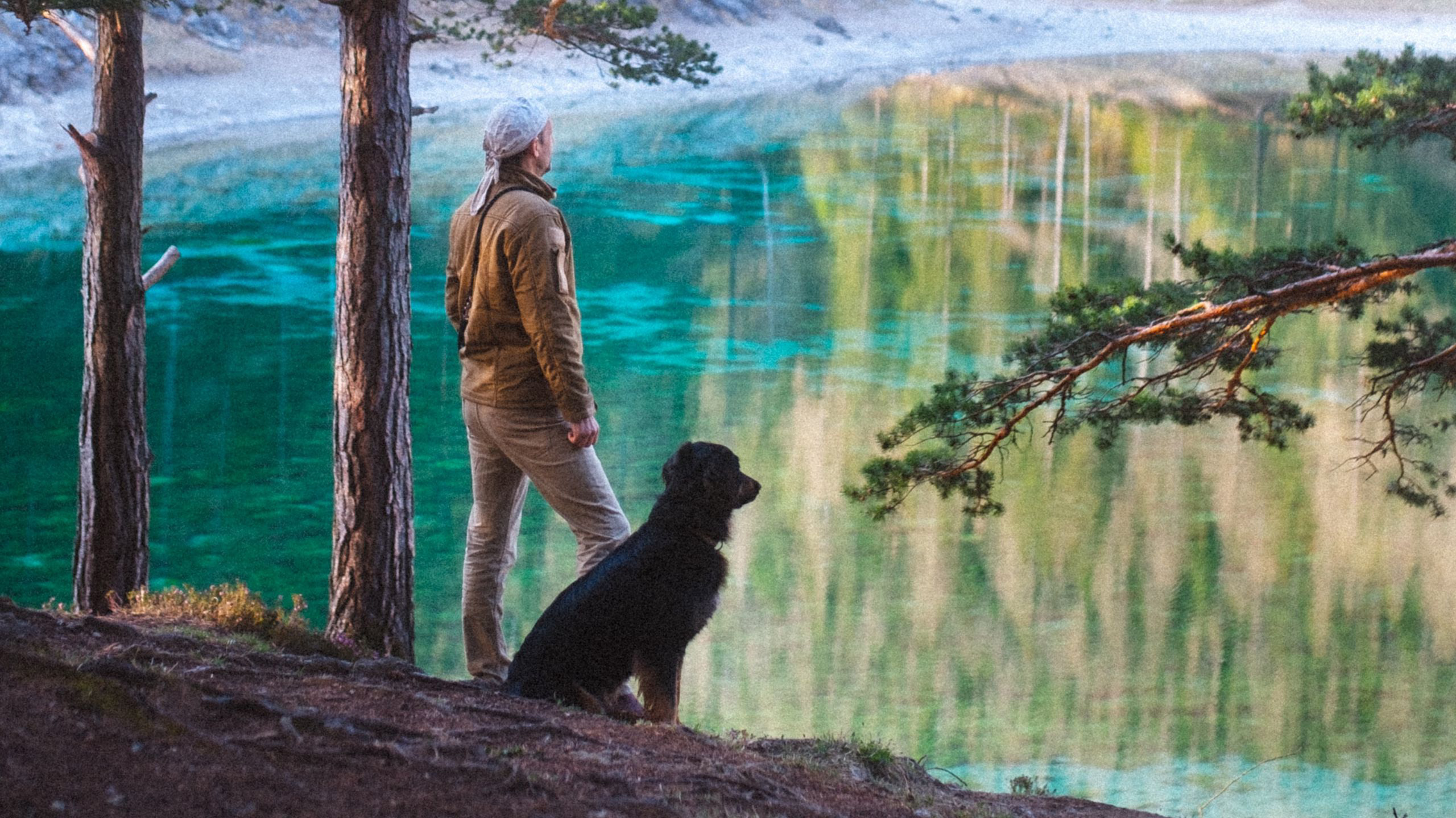 Man Is Standing With Dog Near Lake HD Alone Wallpaper