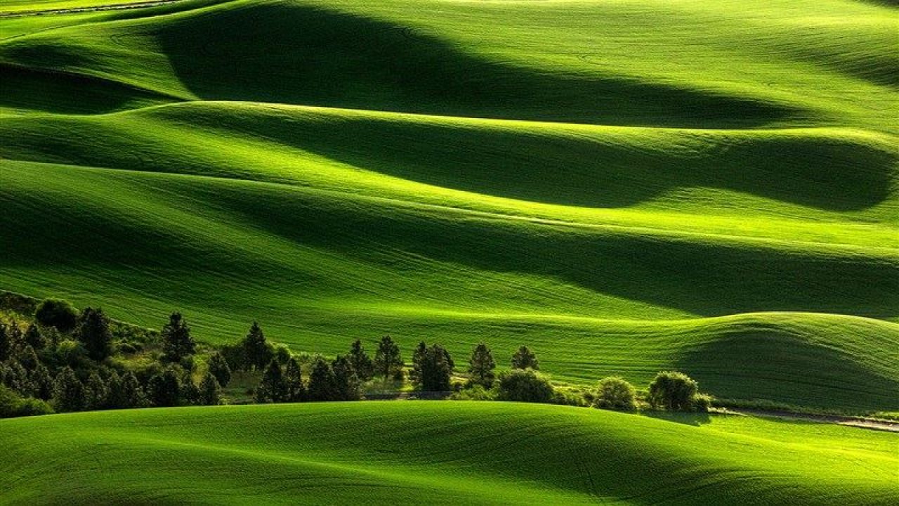 Beautiful Nature and Landscape Wallpaper for Your Desktop & Smartphone Buzz Online