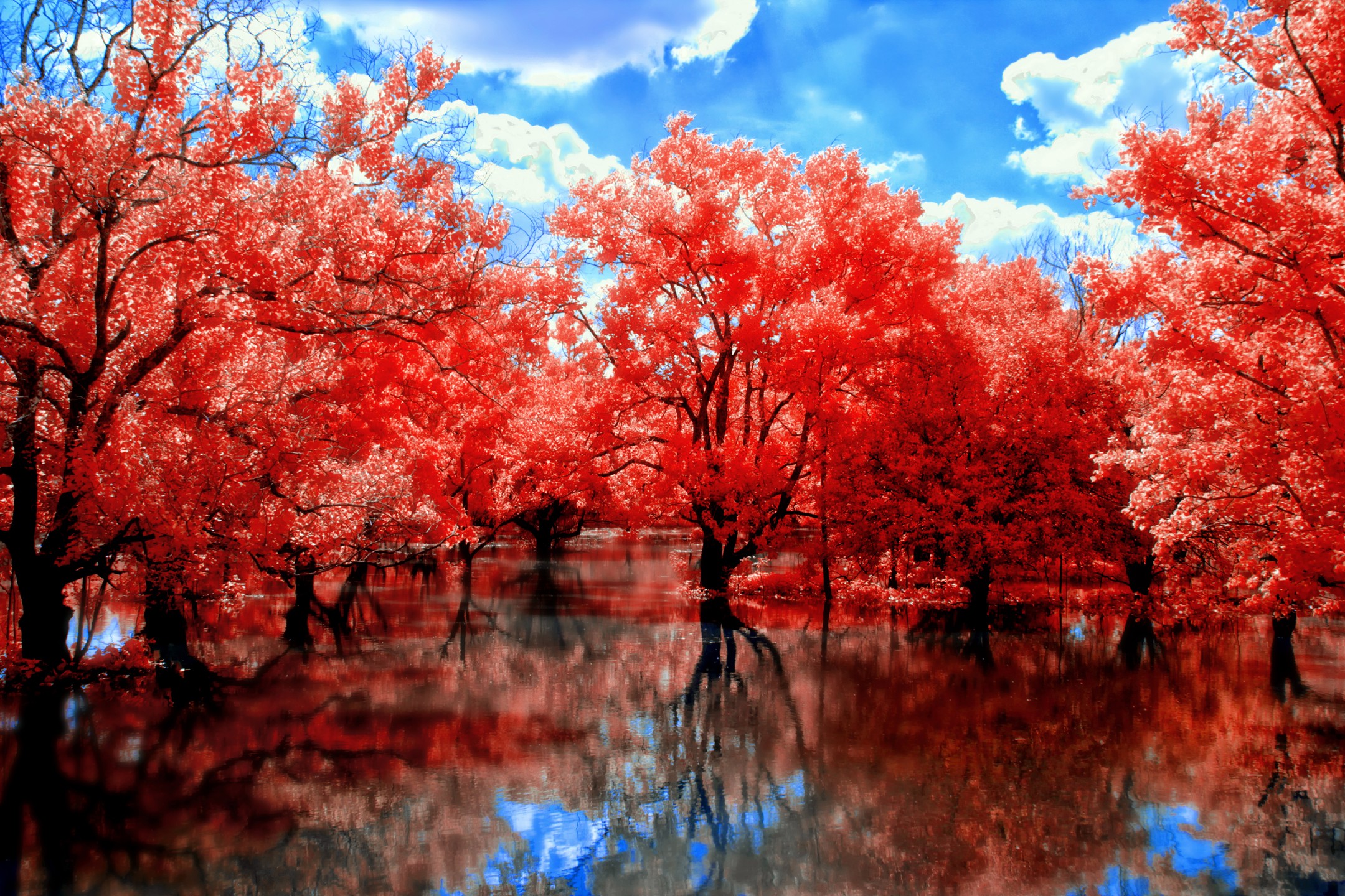 fall, Nature, Landscape Wallpaper HD / Desktop and Mobile Background