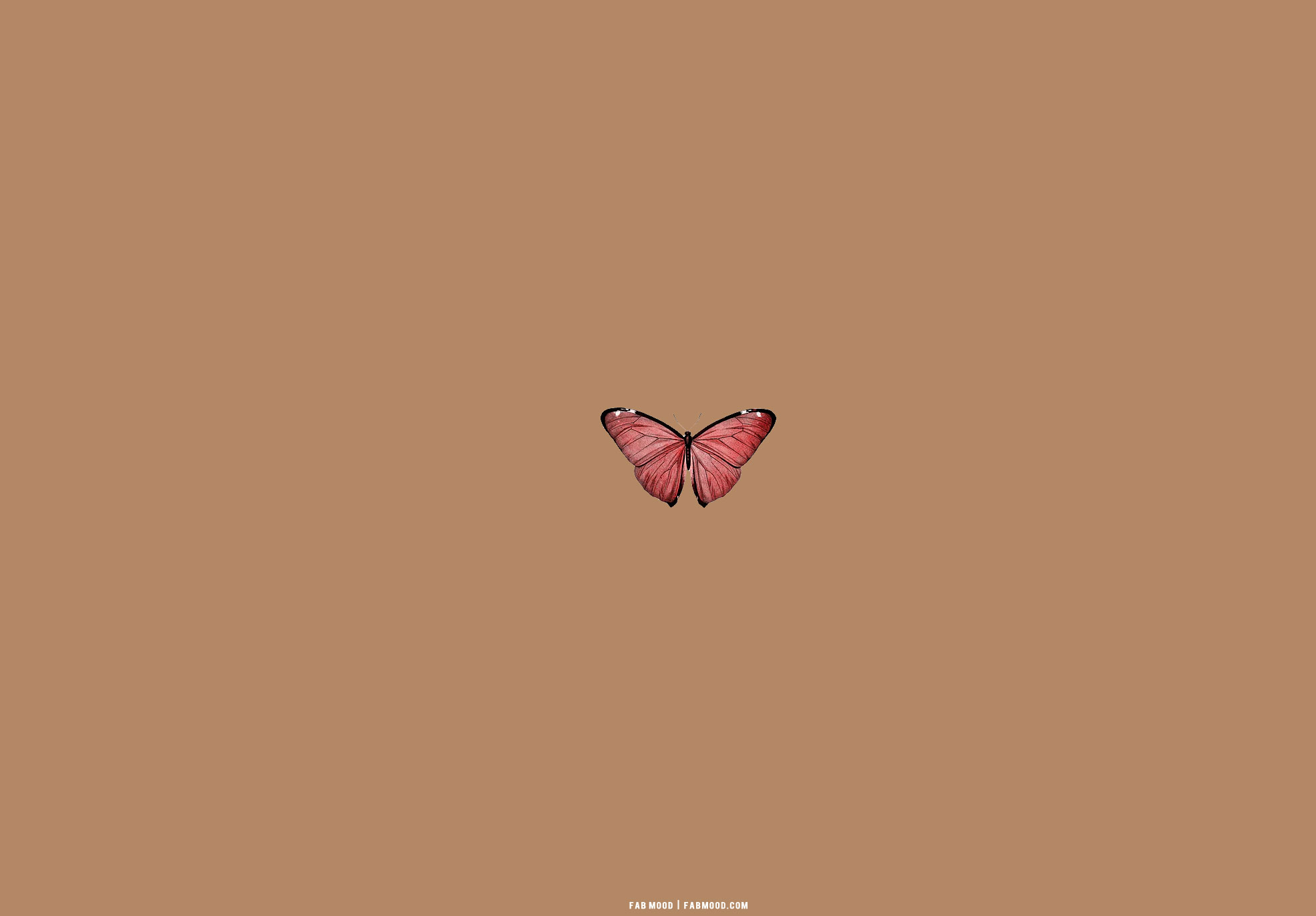 Brown Aesthetic Wallpaper for Laptop, Red Butterfly Brown Aesthetic