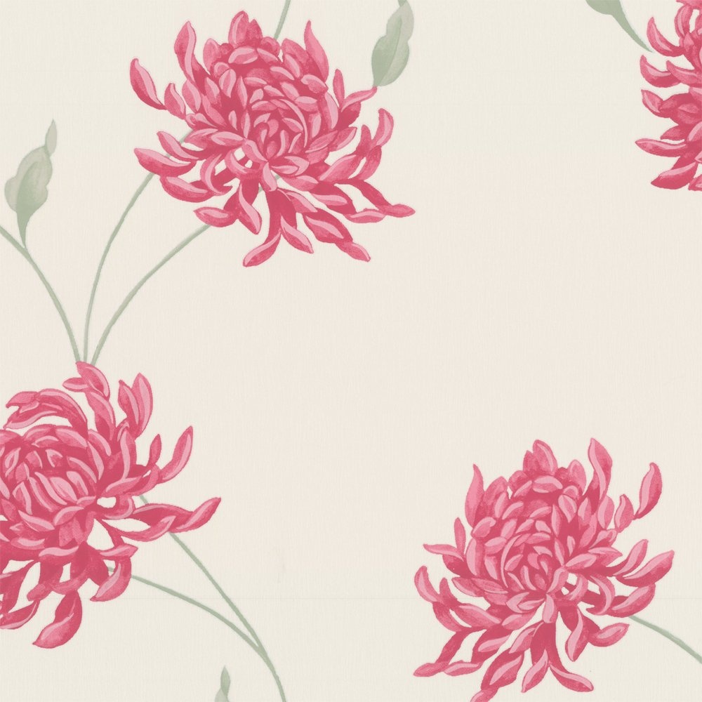 Free download Buy Graham and Brown Eve Wallpaper Pink Cream [1000x1000] for your Desktop, Mobile & Tablet. Explore Pink and Brown Wallpaper. White and Pink Wallpaper, Pink and Green