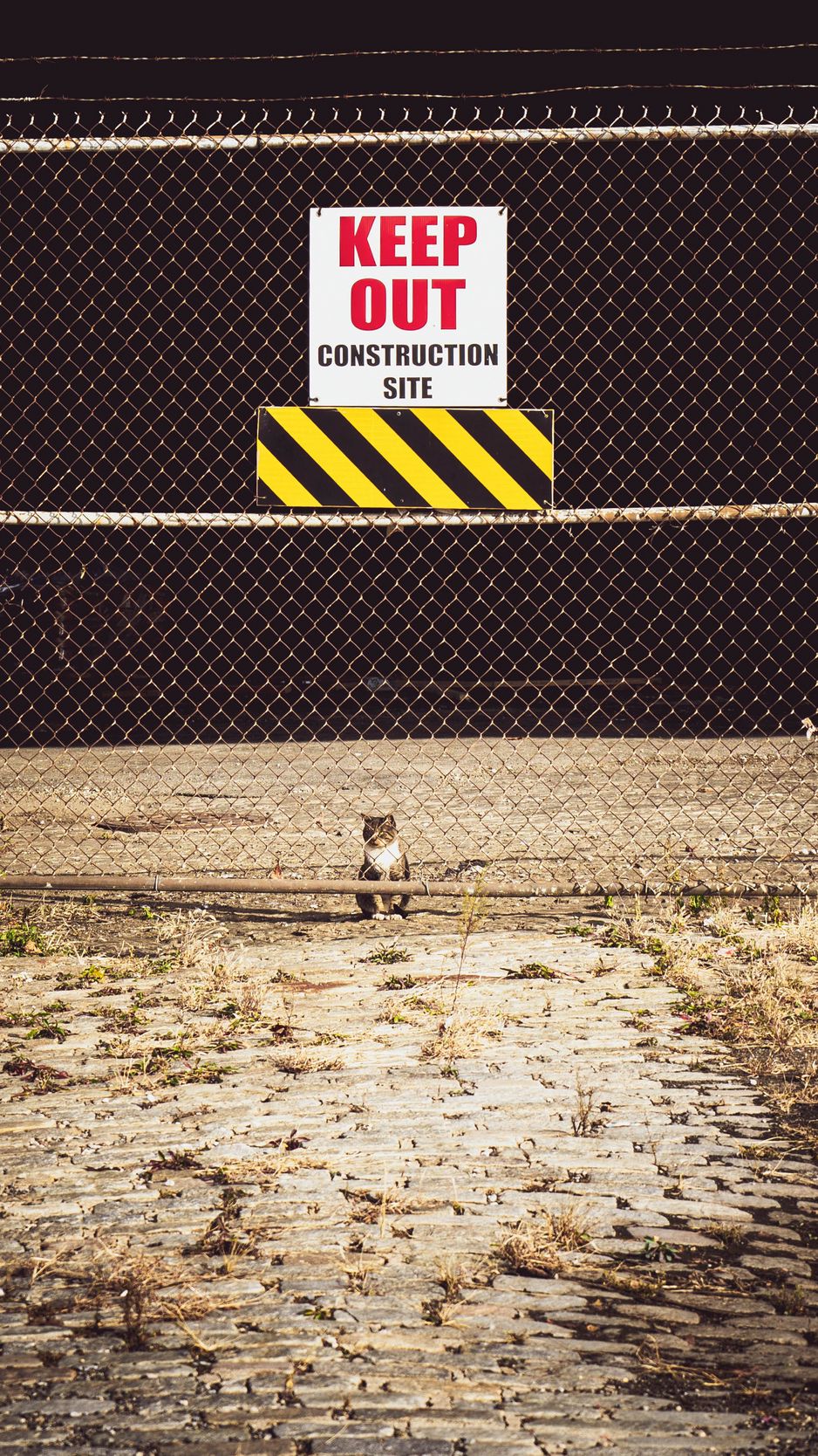 Download Wallpaper 938x1668 Warning, Prohibition, Sign, Fence, Cat Iphone 8 7 6s 6 For Parallax HD Background