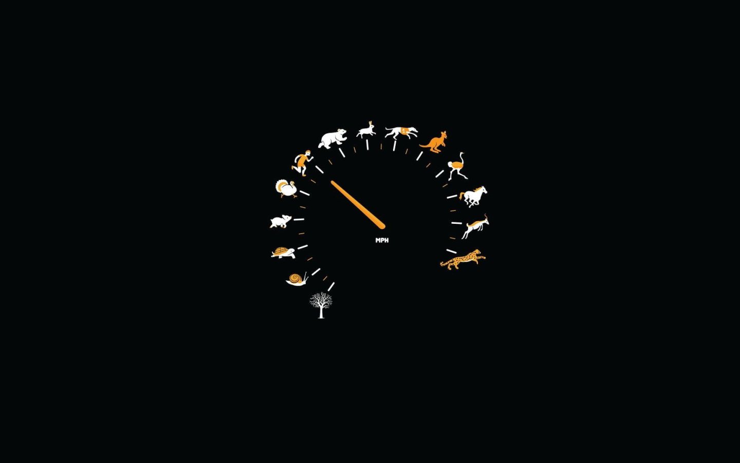 Wallpaper Animals Funny Gauge Speedometer Black Background • Wallpaper For You